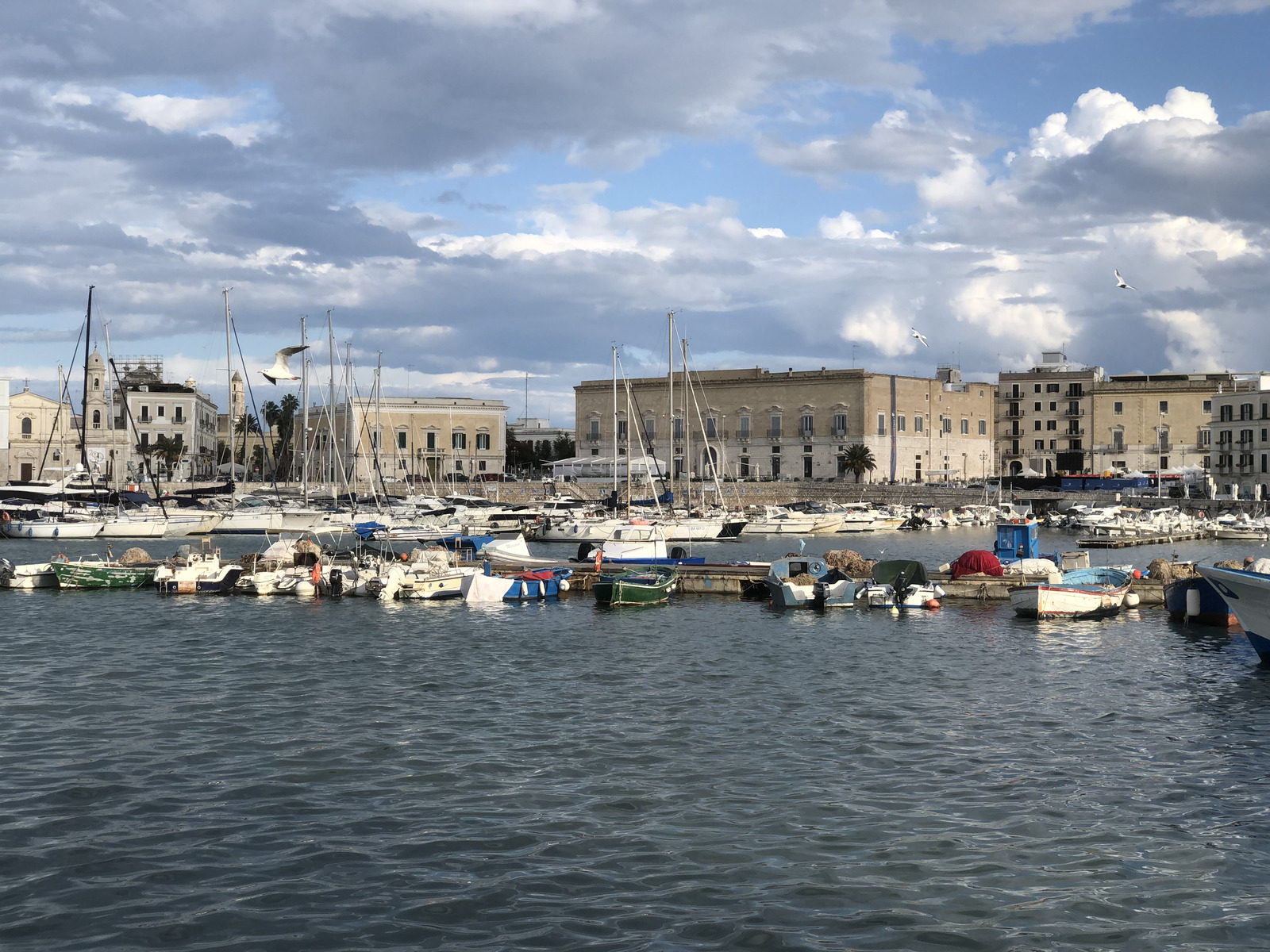 Picture Italy Trani 2024-09 65 - Photographer Trani