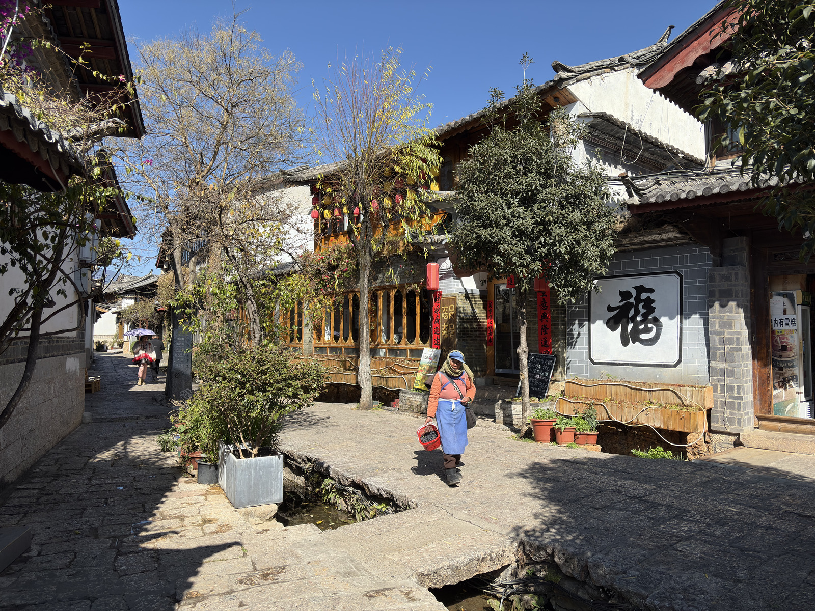 Picture China Lijiang 2026-01 32 - Trip Lijiang