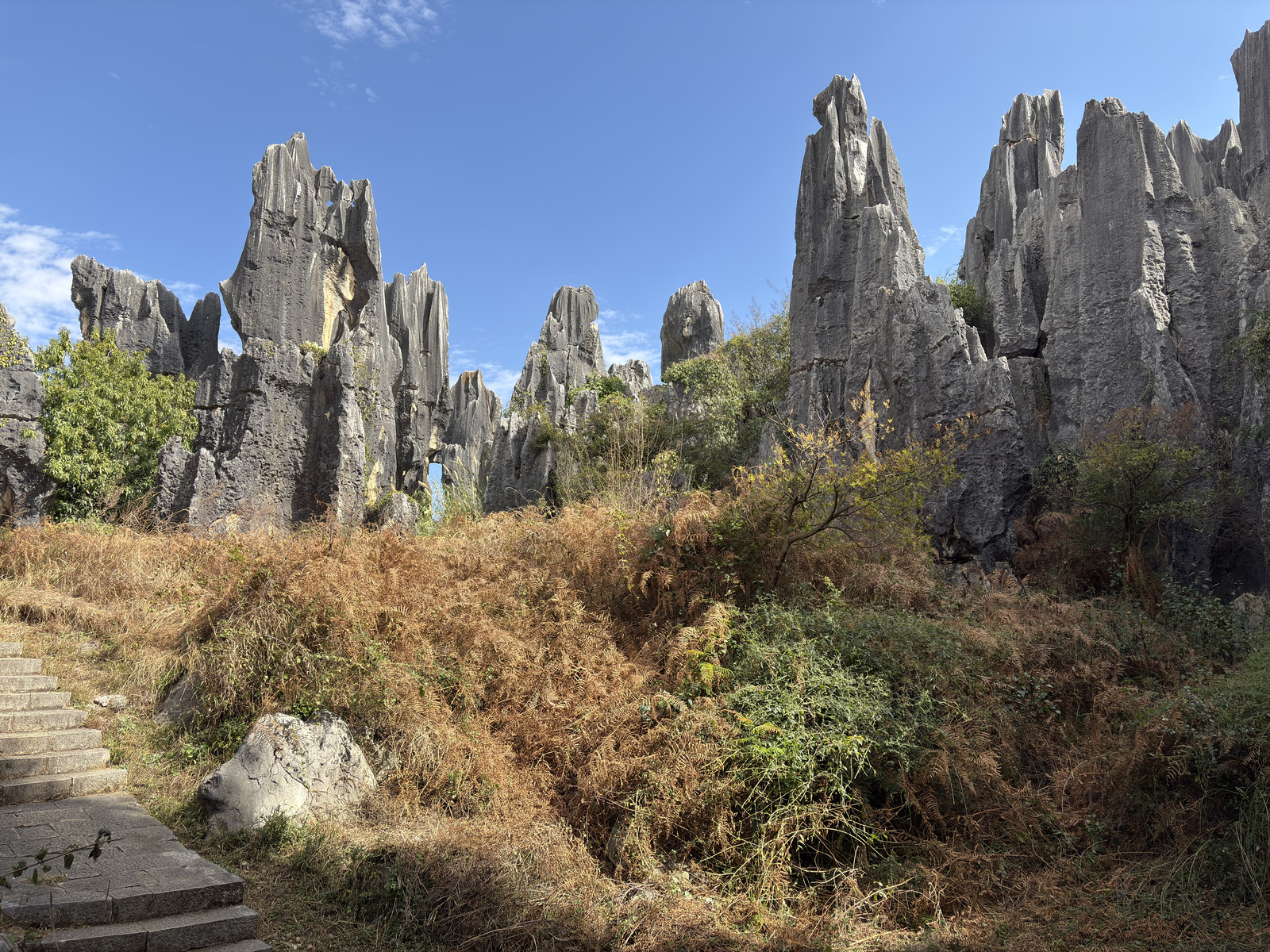 Picture China Shilin Stone Forest 2026-01 253 - Photographer Shilin Stone Forest