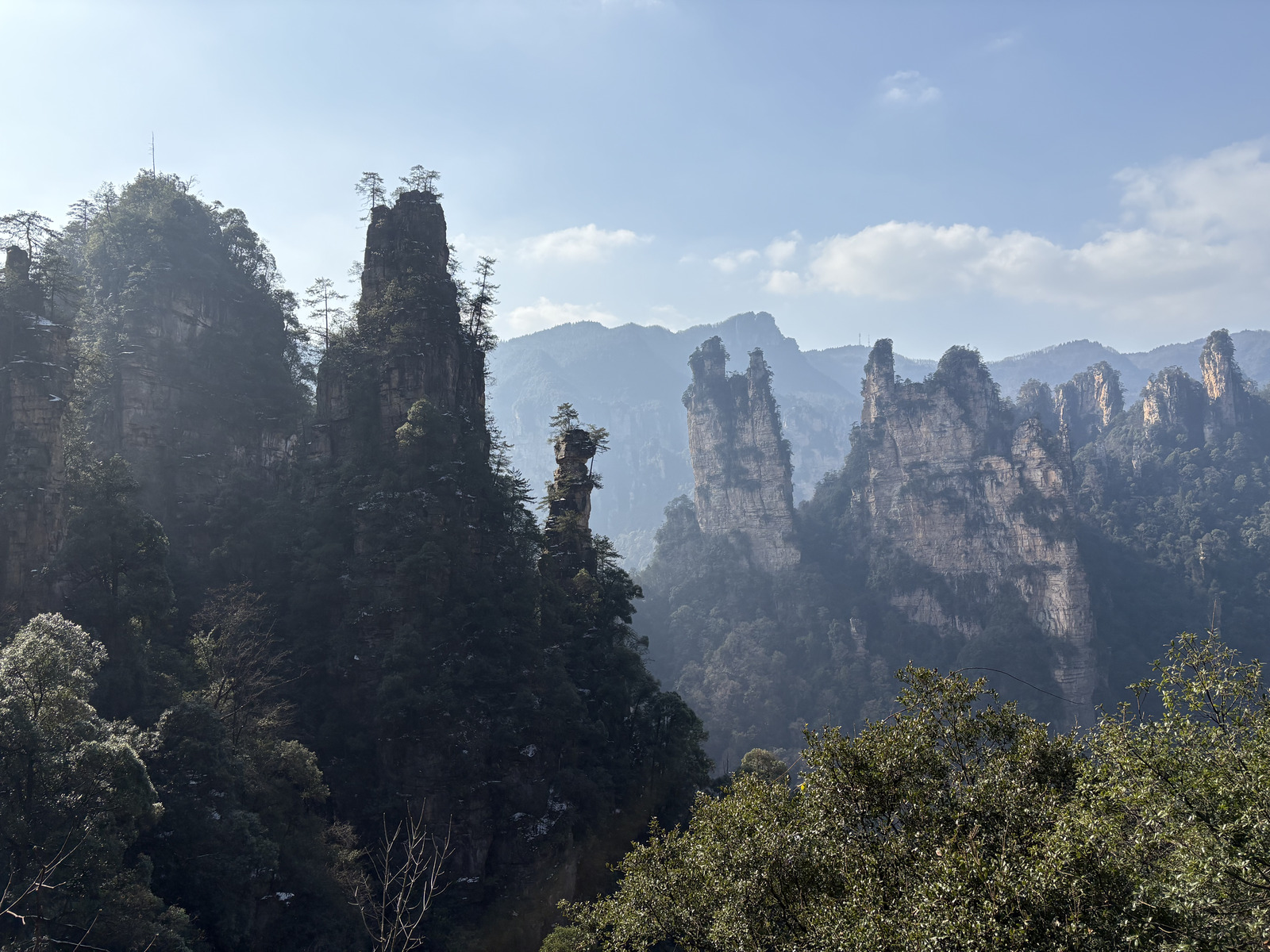 Picture China Zhangjiajie Tianzi Mountrain 2026-01 45 - View Tianzi Mountrain