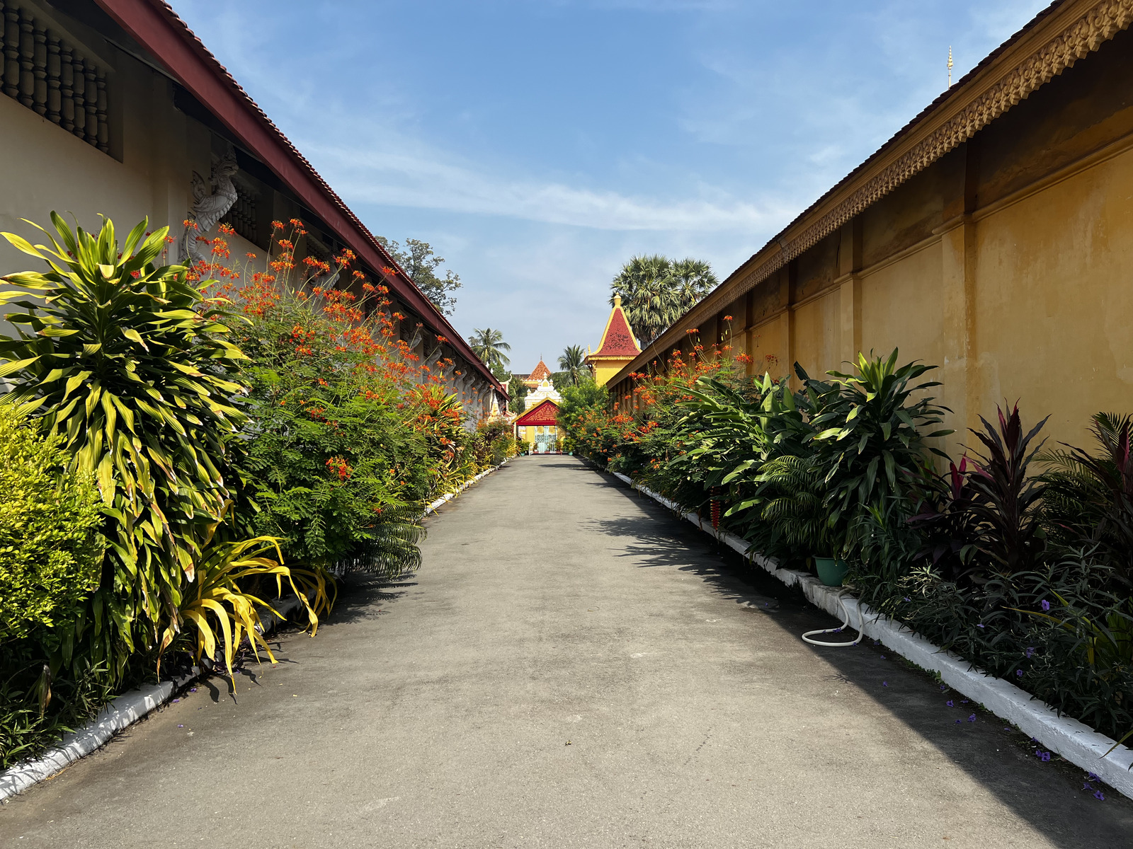 Picture Cambodia Phnom Penh Royal Palace 2024-01 1 - Photo Royal Palace