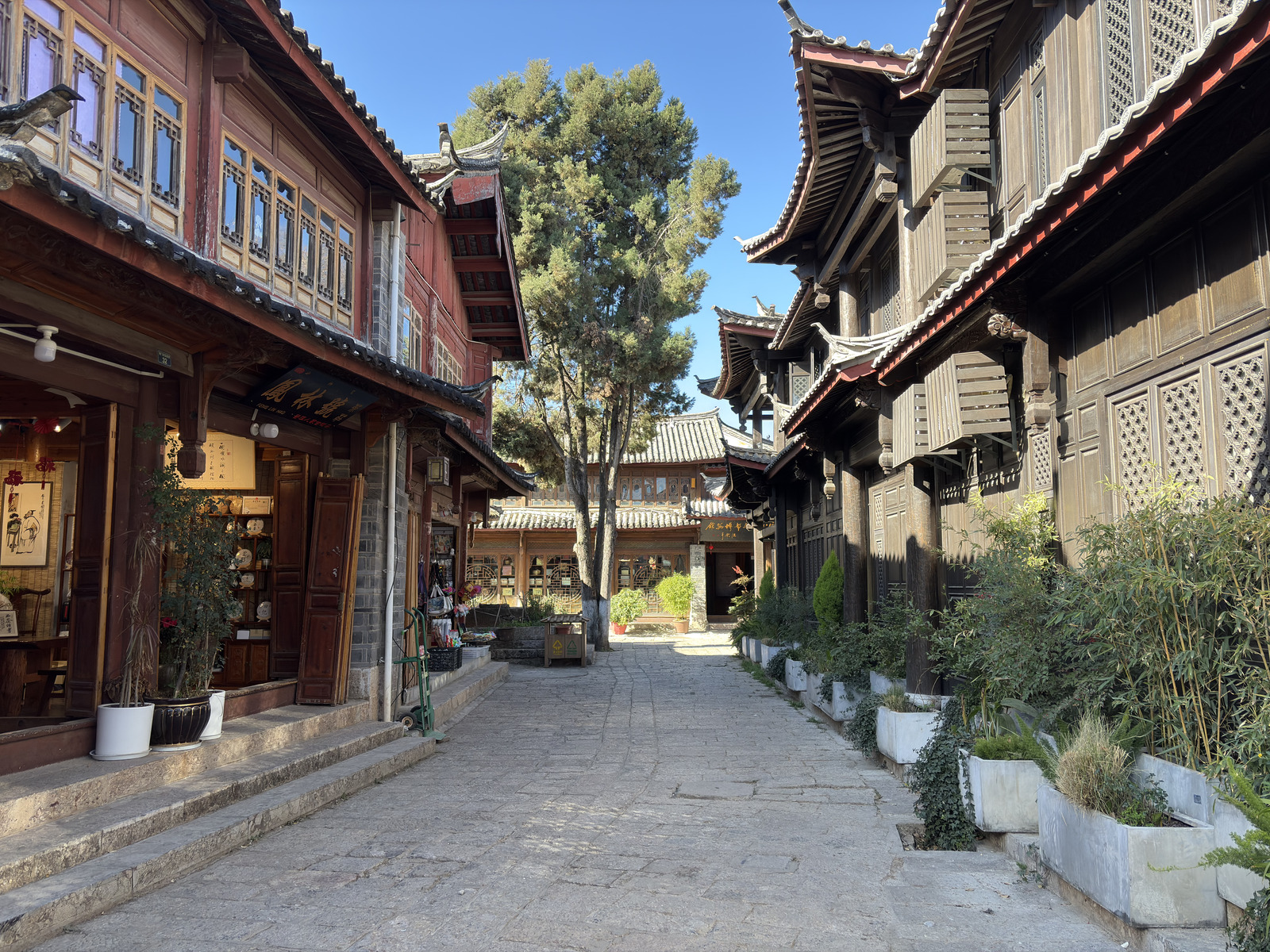 Picture China Lijiang 2026-01 544 - Photos Lijiang