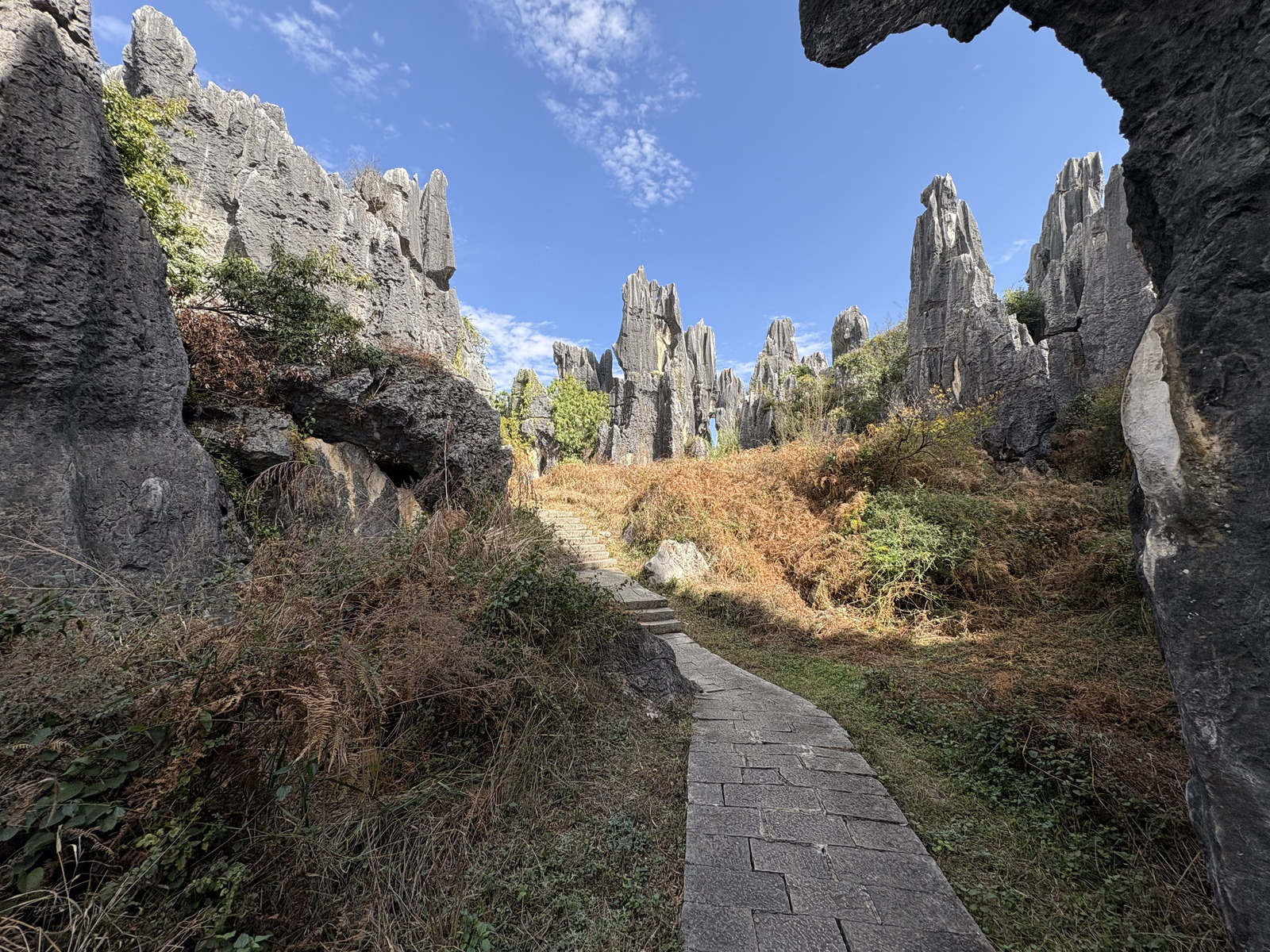 Picture China Shilin Stone Forest 2026-01 251 - Photographers Shilin Stone Forest