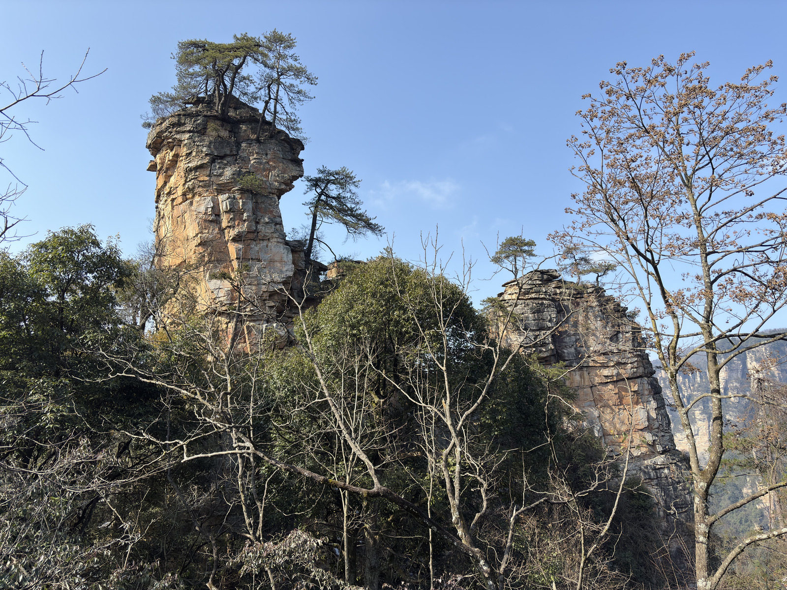 Picture China Zhangjiajie Tianzi Mountrain 2026-01 309 - Tourist Places Tianzi Mountrain