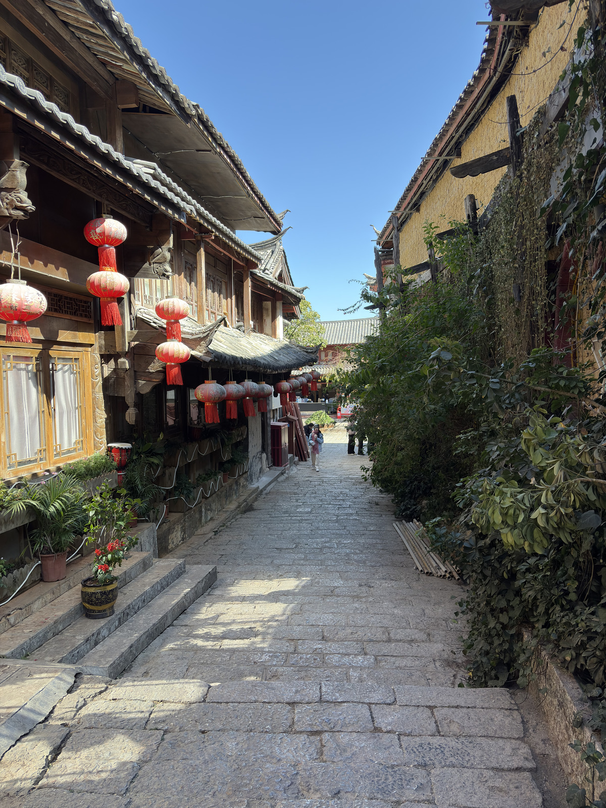 Picture China Lijiang 2026-01 475 - View Lijiang
