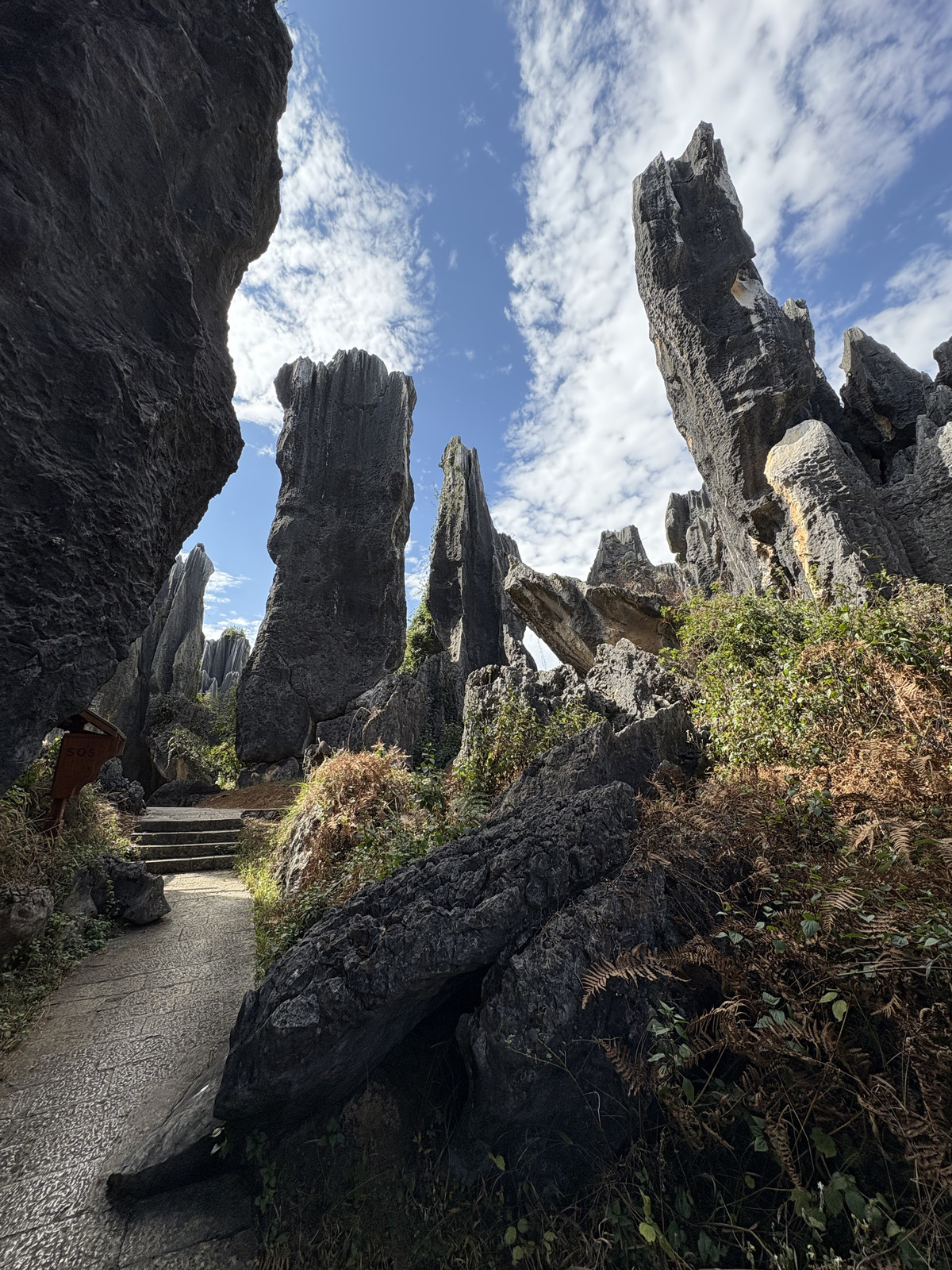 Picture China Shilin Stone Forest 2026-01 173 - Tourist Places Shilin Stone Forest