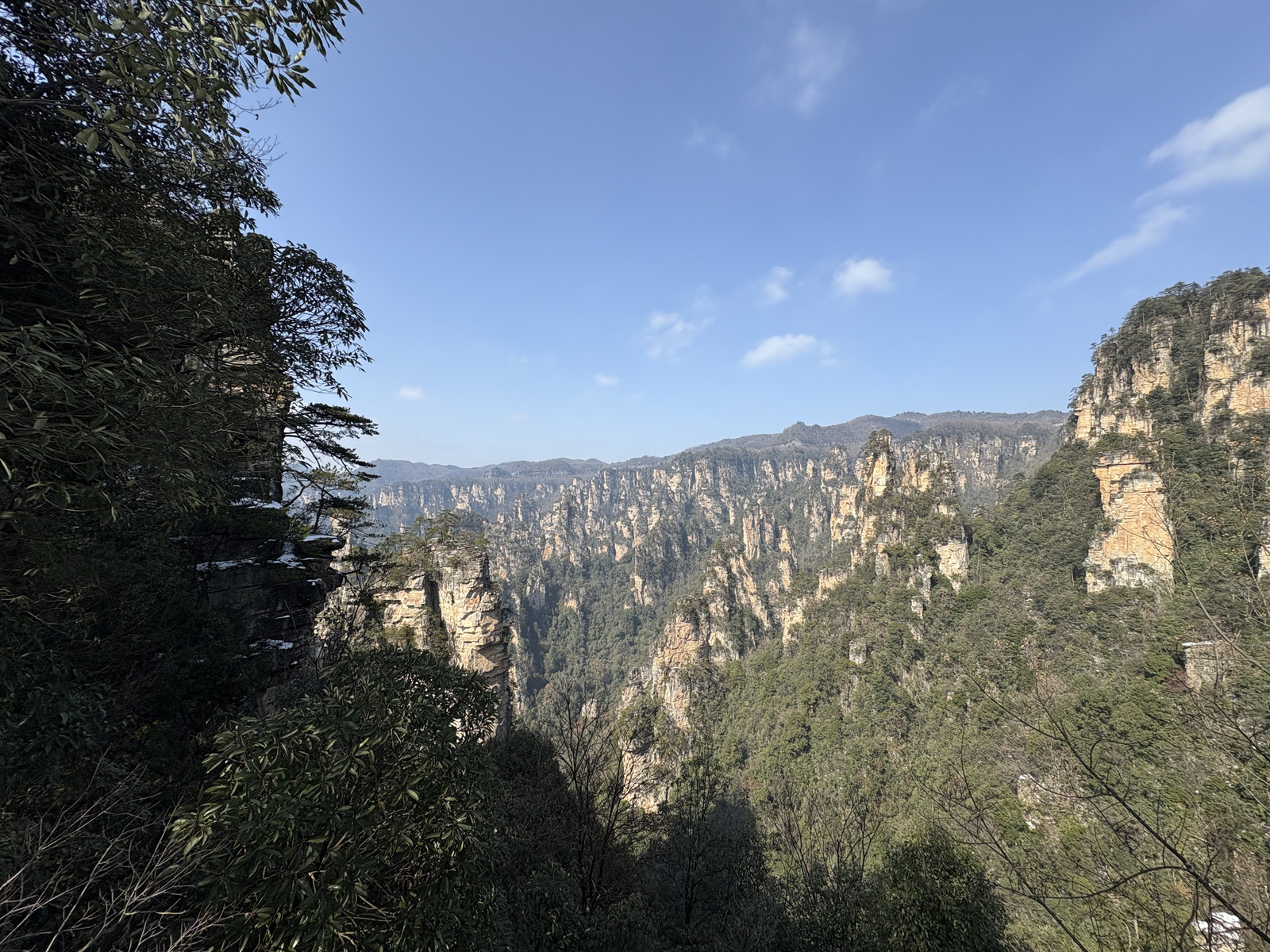 Picture China Zhangjiajie Tianzi Mountrain 2026-01 17 - Tourist Tianzi Mountrain