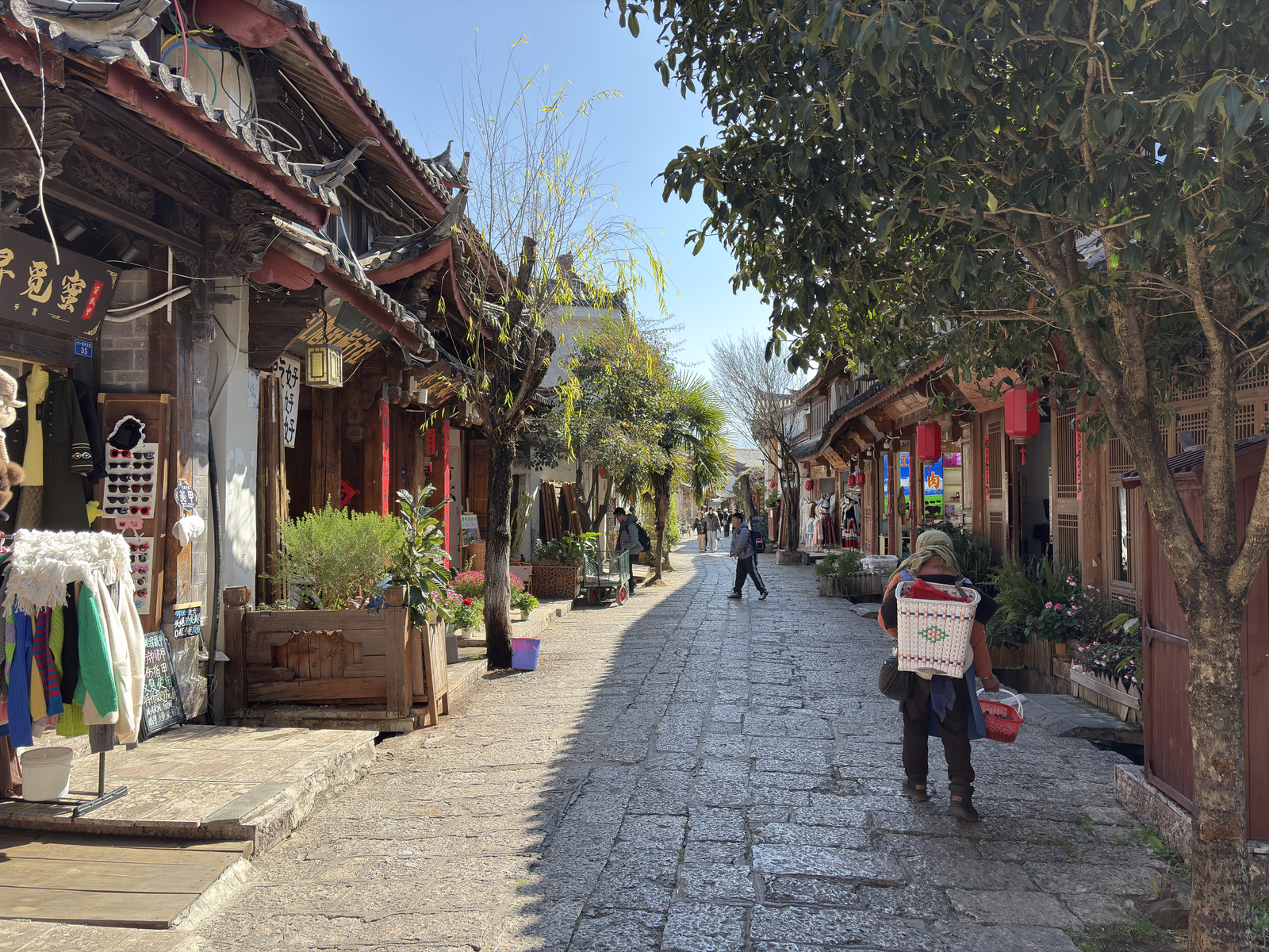 Picture China Lijiang 2026-01 362 - Travel Lijiang
