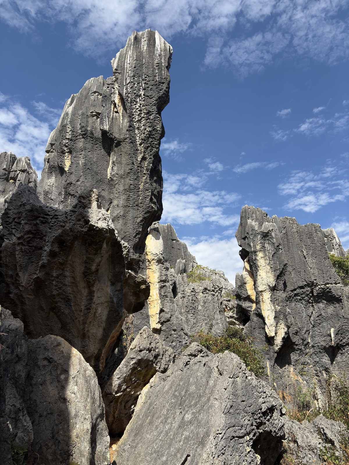 Picture China Shilin Stone Forest 2026-01 116 - Perspective Shilin Stone Forest