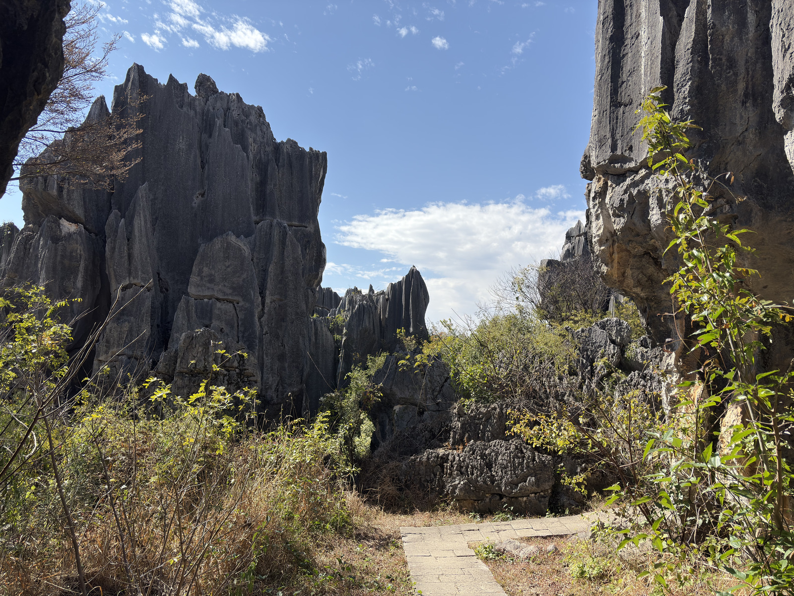 Picture China Shilin Stone Forest 2026-01 350 - Photos Shilin Stone Forest