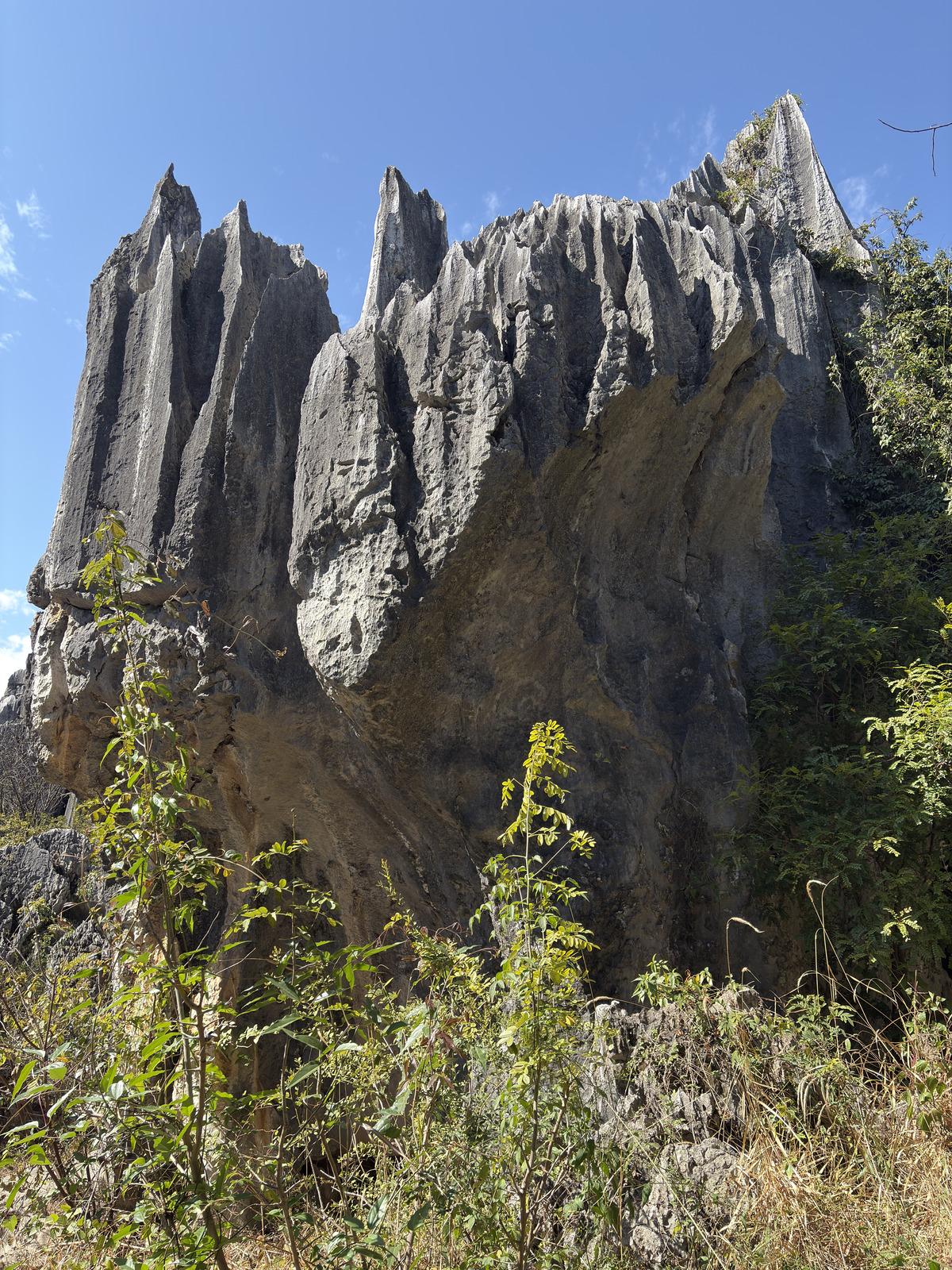 Picture China Shilin Stone Forest 2026-01 353 - Discover Shilin Stone Forest