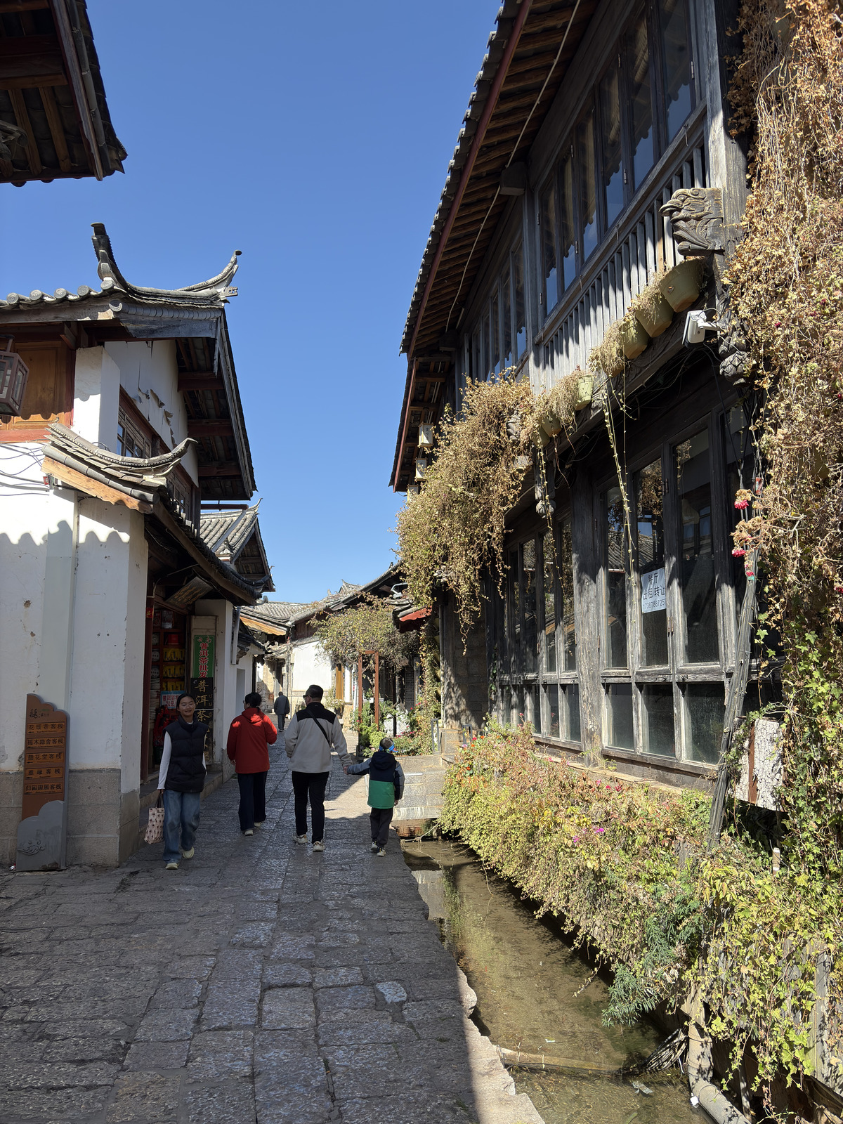 Picture China Lijiang 2026-01 575 - Sight Lijiang