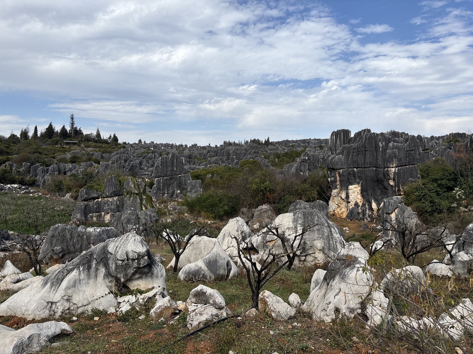Picture China Shilin Stone Forest 2026-01 330 - Photos Shilin Stone Forest