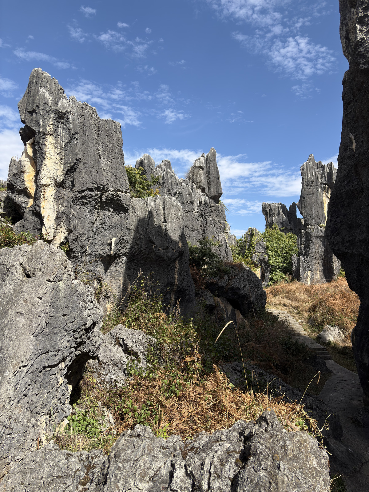 Picture China Shilin Stone Forest 2026-01 0 - Photographer Shilin Stone Forest
