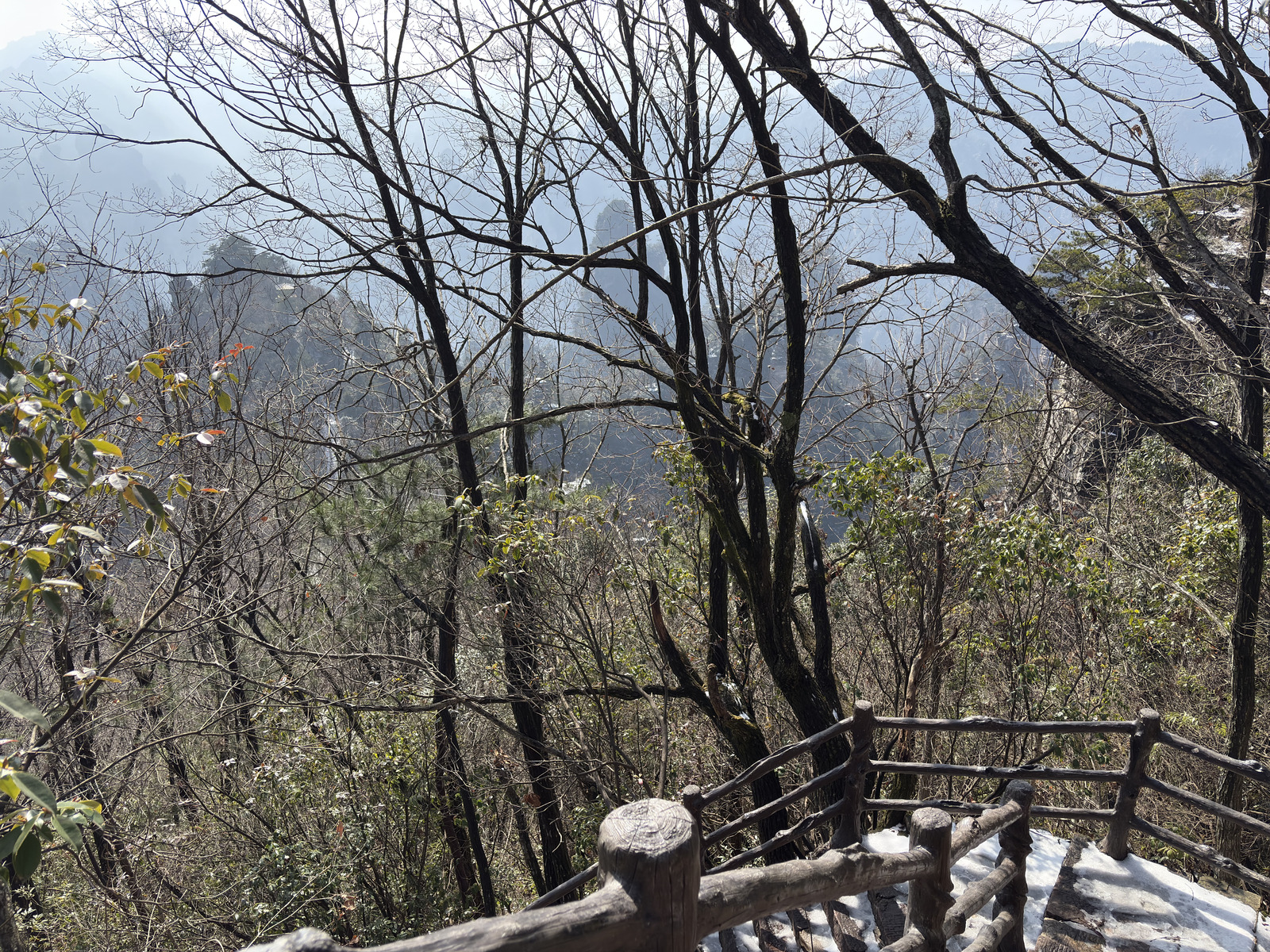 Picture China Zhangjiajie Tianzi Mountrain 2026-01 140 - Car Rental Tianzi Mountrain