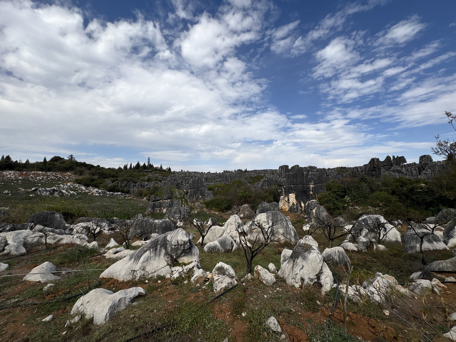 Picture China Shilin Stone Forest 2026-01 371 - Road Shilin Stone Forest