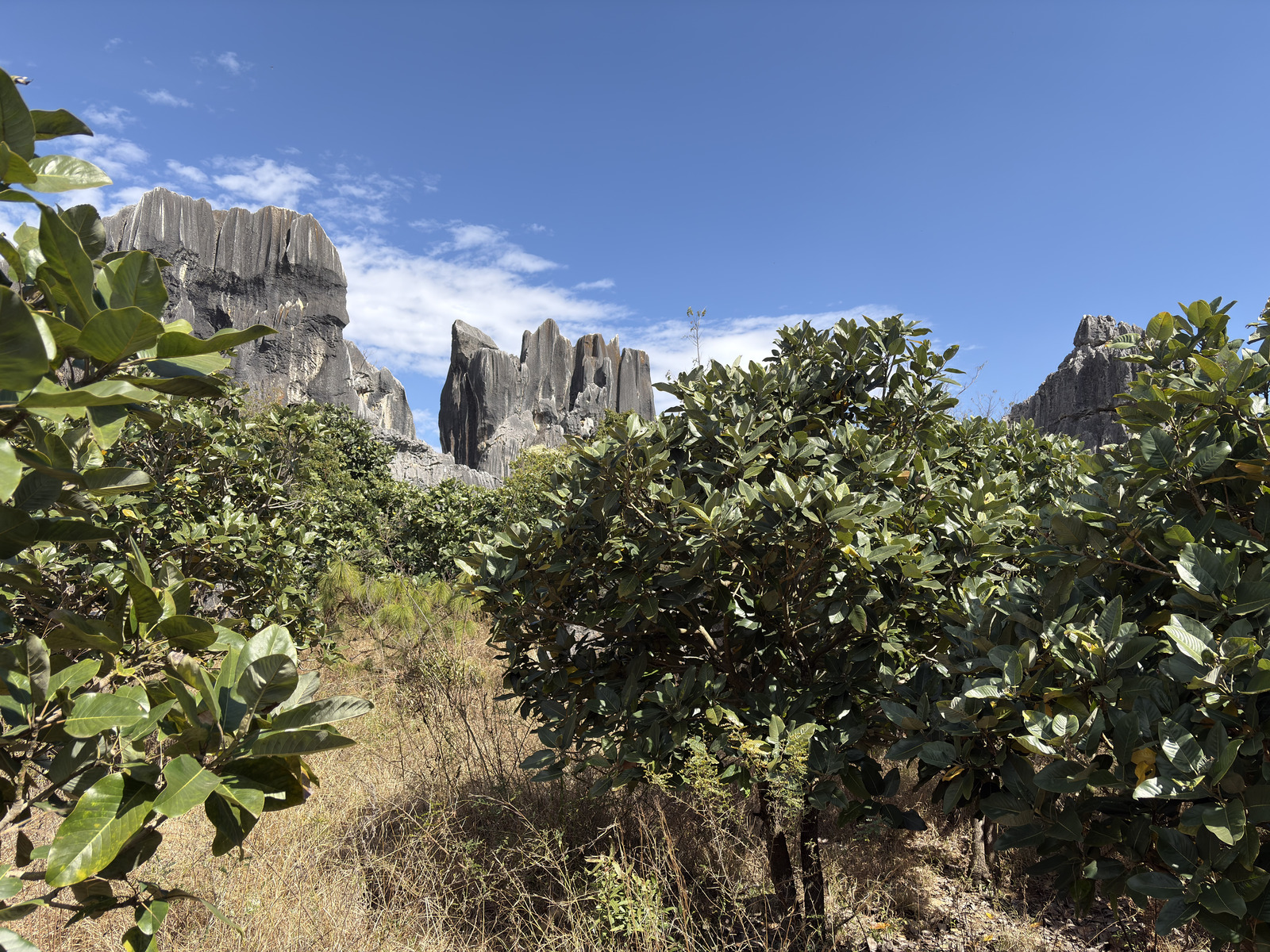 Picture China Shilin Stone Forest 2026-01 259 - Trip Shilin Stone Forest