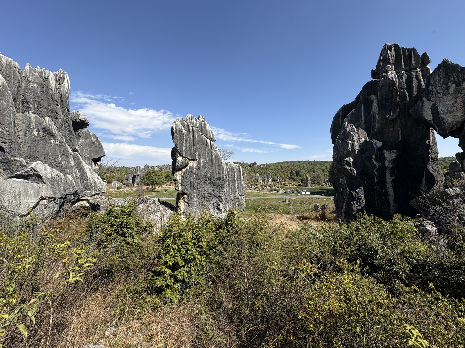 Picture China Shilin Stone Forest 2026-01 93 - View Shilin Stone Forest
