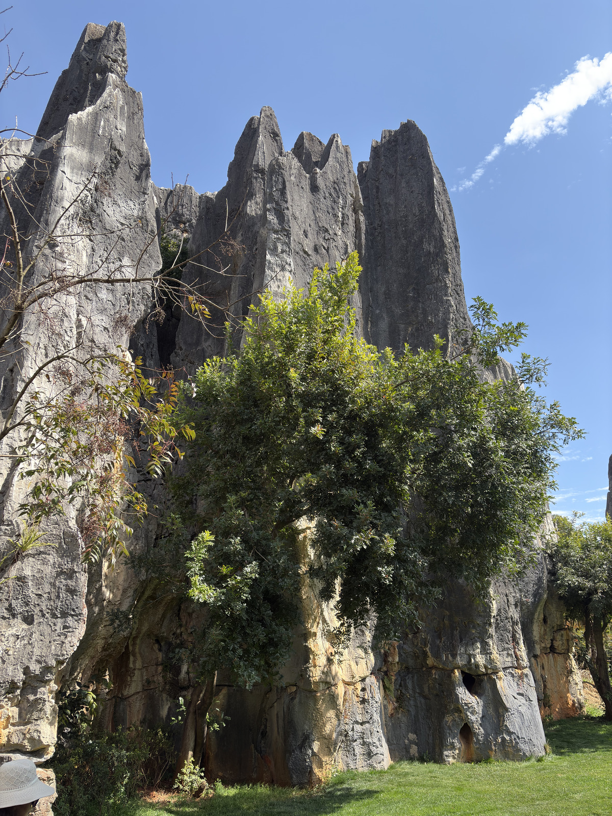 Picture China Shilin Stone Forest 2026-01 20 - Visit Shilin Stone Forest