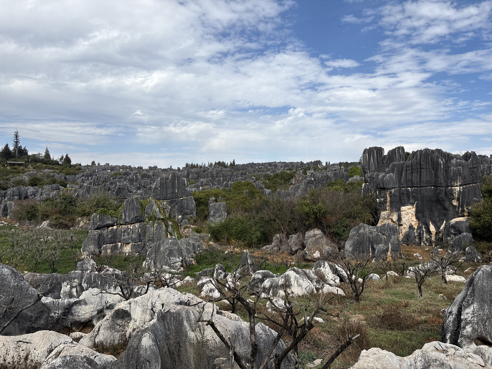 Picture China Shilin Stone Forest 2026-01 47 - Photo Shilin Stone Forest