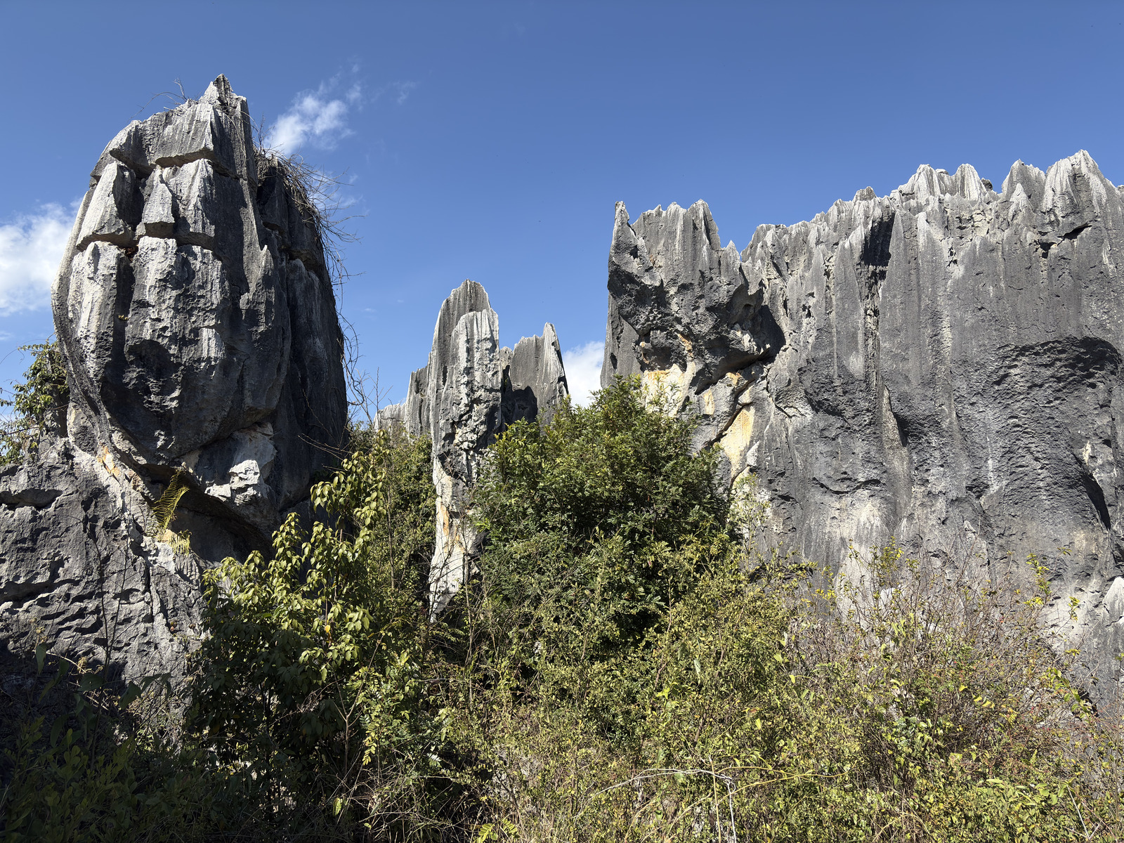 Picture China Shilin Stone Forest 2026-01 193 - Visit Shilin Stone Forest