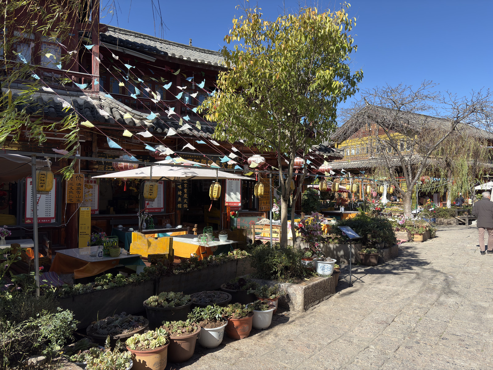 Picture China Lijiang 2026-01 506 - Sight Lijiang