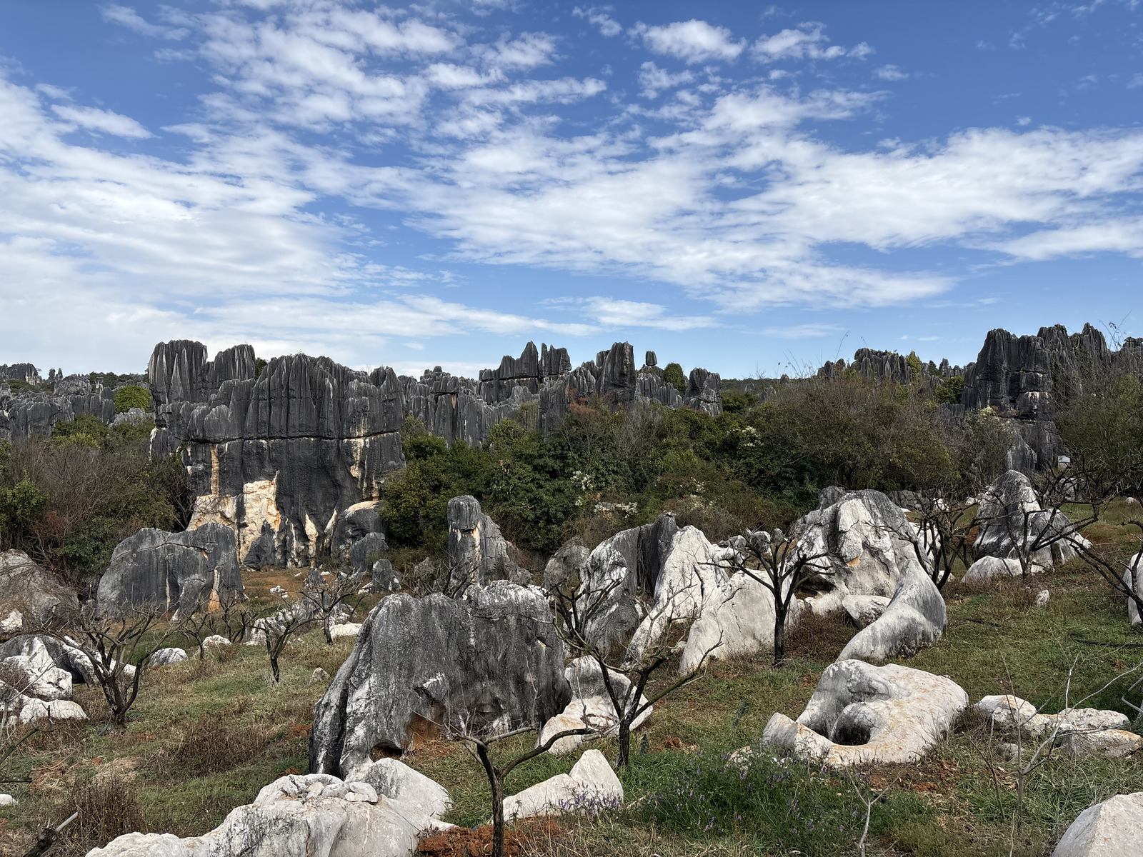Picture China Shilin Stone Forest 2026-01 114 - Sight Shilin Stone Forest