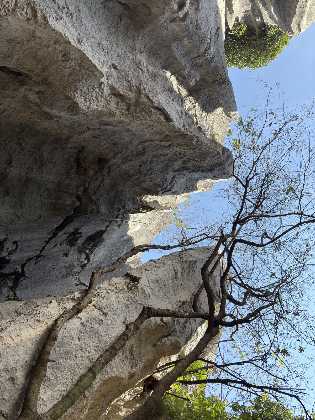 Picture China Shilin Stone Forest 2026-01 306 - Photo Shilin Stone Forest