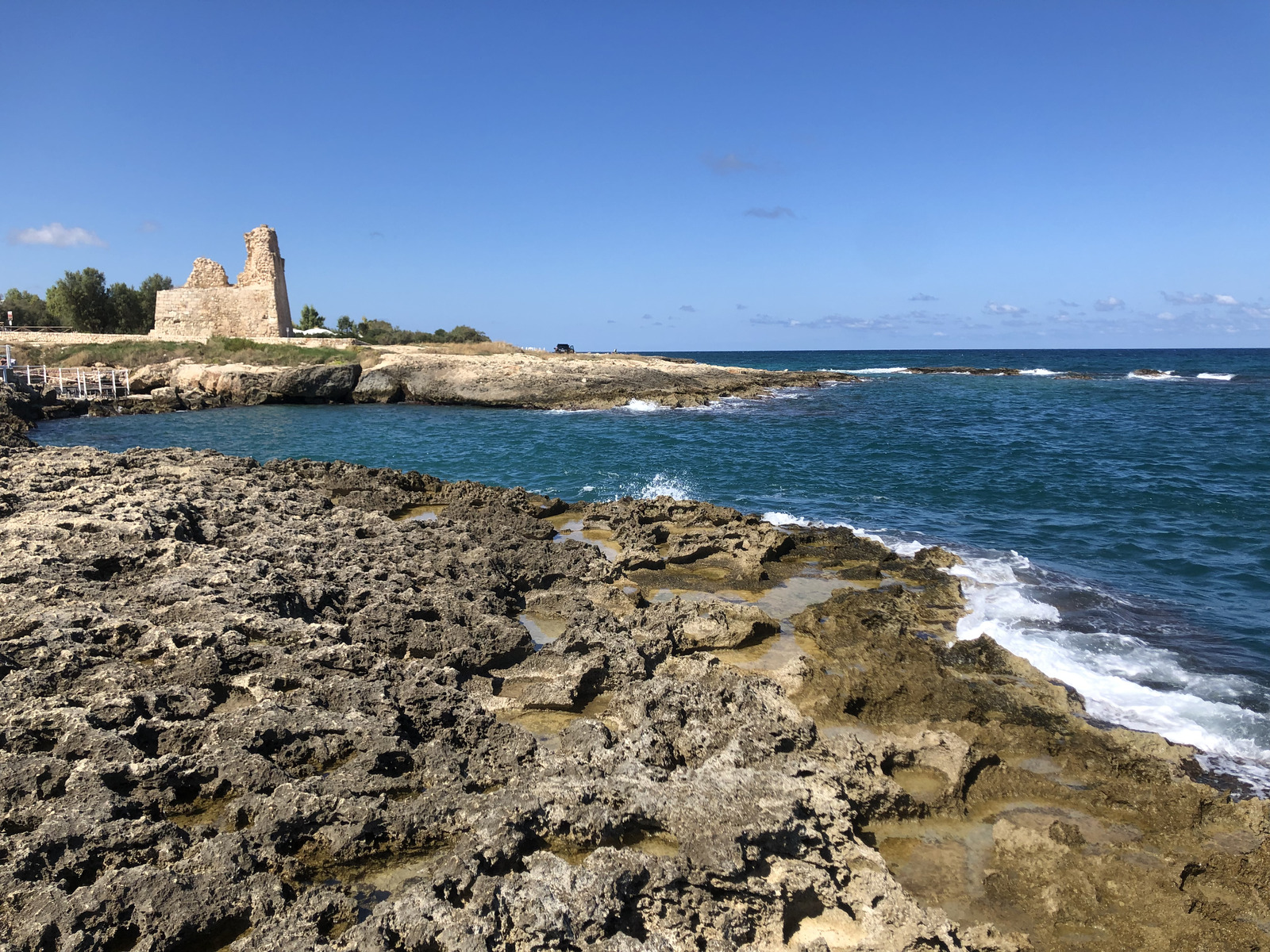 Picture Italy Monopoli 2024-09 76 - Pictures Monopoli