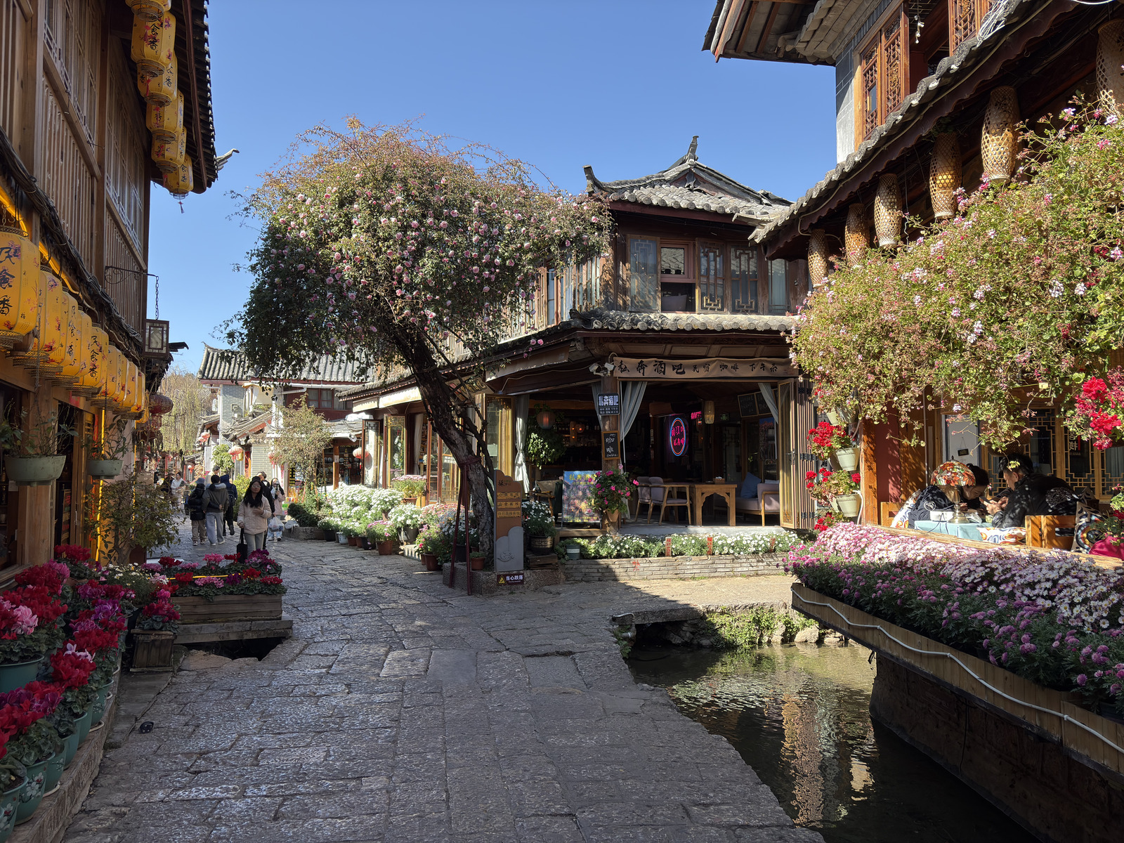 Picture China Lijiang 2026-01 742 - Views Lijiang
