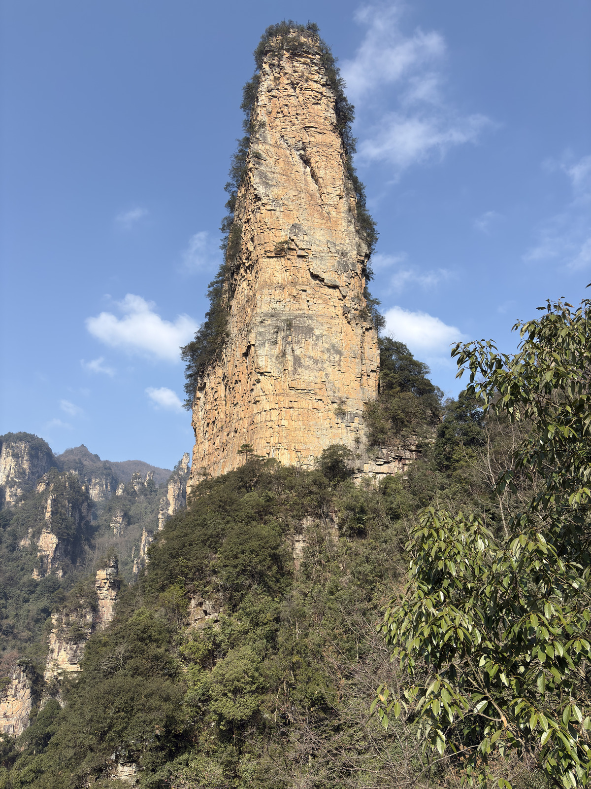 Picture China Zhangjiajie Tianzi Mountrain 2026-01 68 - Pictures Tianzi Mountrain