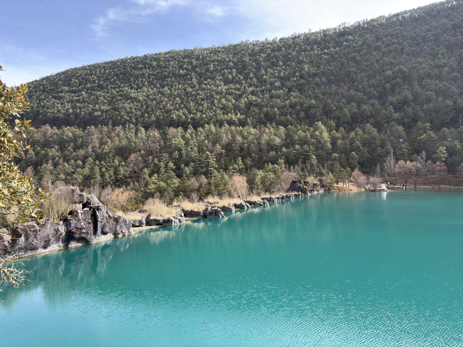 Picture China Lijiang Blue moon valley 2026-01 117 - Trips Blue moon valley