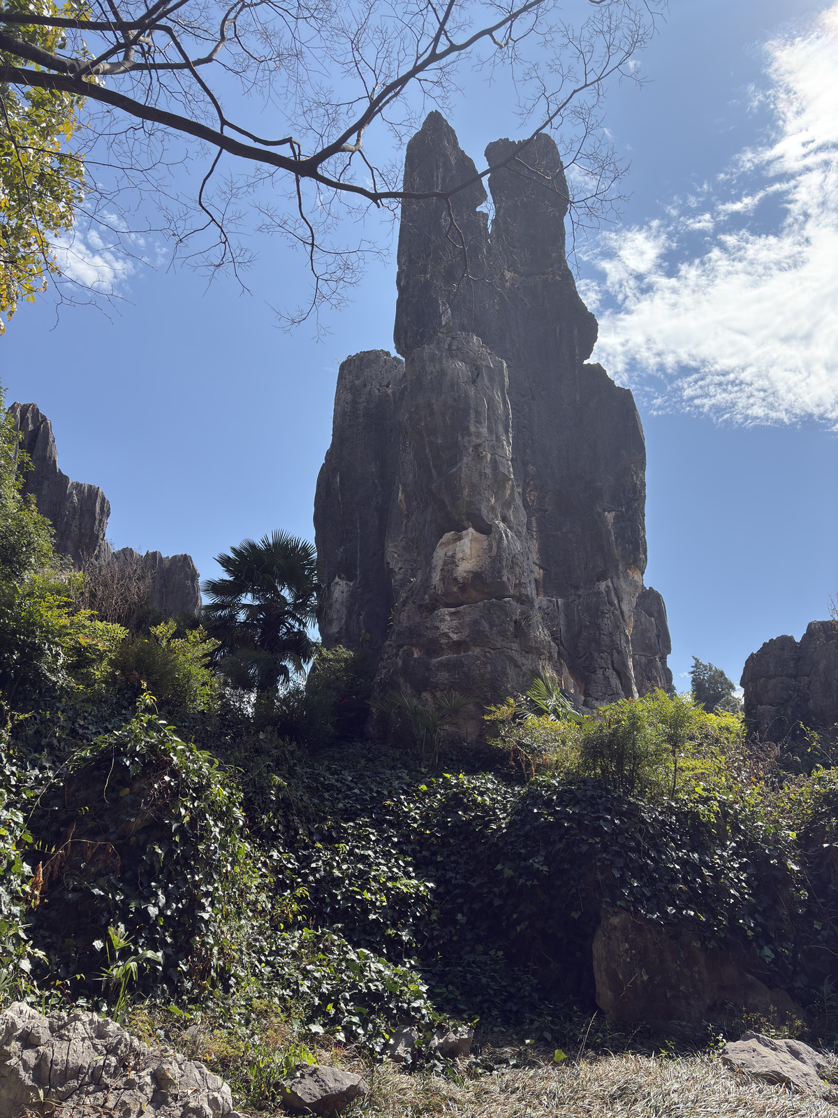 Picture China Shilin Stone Forest 2026-01 51 - Sight Shilin Stone Forest