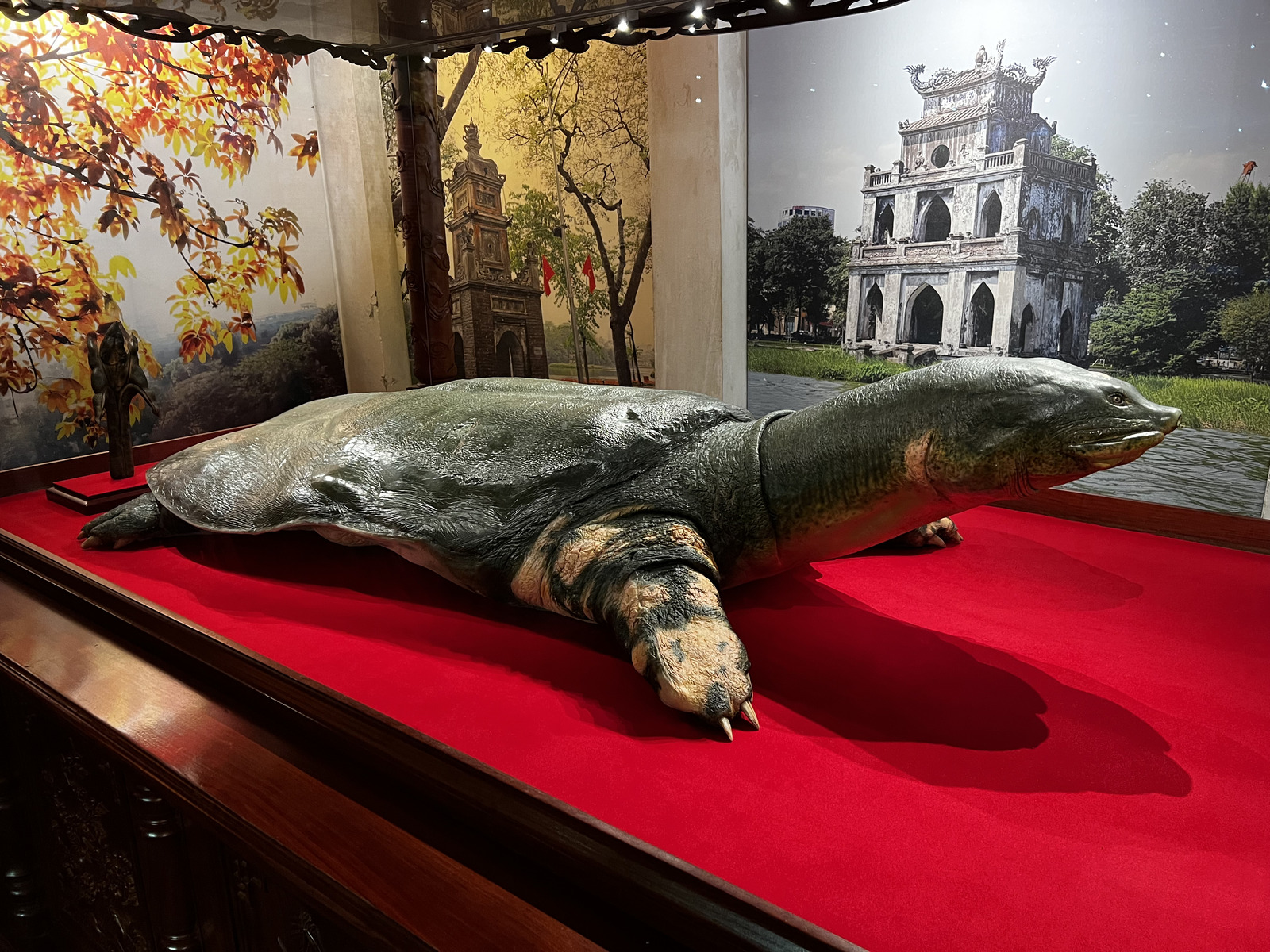 Picture Vietnam Hanoi Hoan Kiem Lake 2024-01 4 - Photographer Hoan Kiem Lake