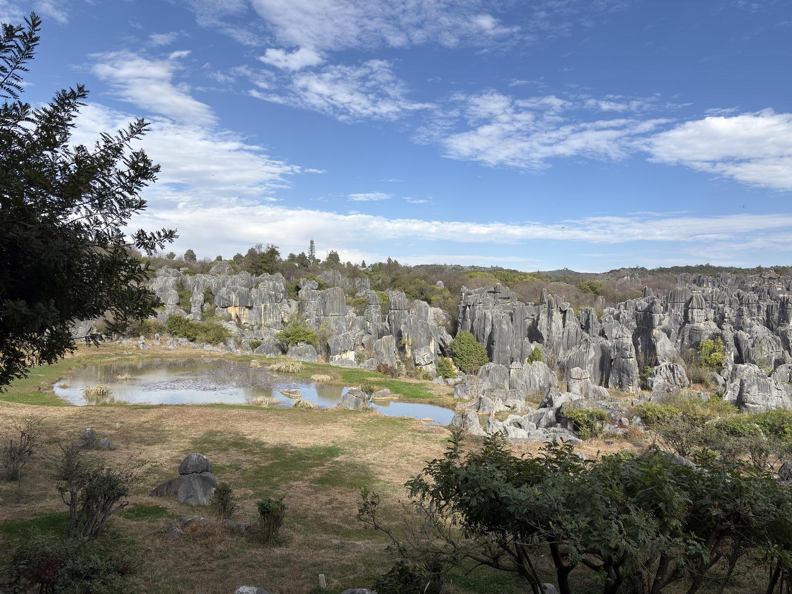 Picture China Shilin Stone Forest 2026-01 74 - Photographer Shilin Stone Forest