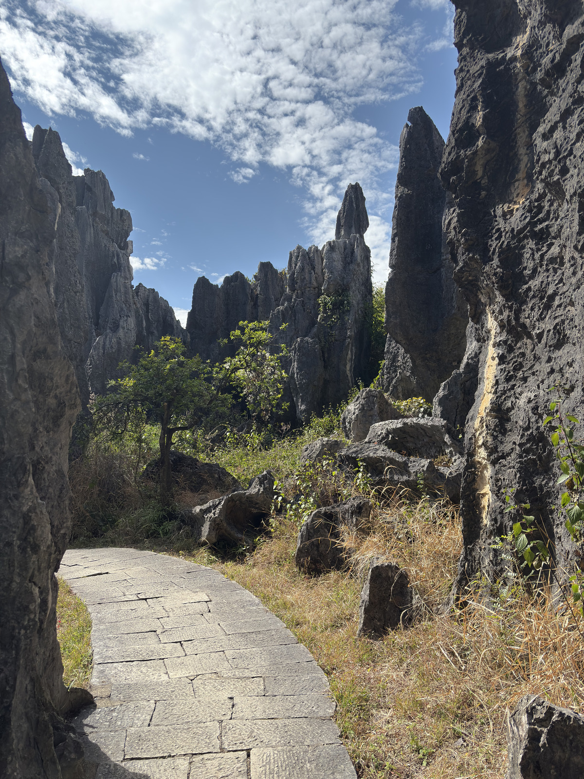 Picture China Shilin Stone Forest 2026-01 322 - Travels Shilin Stone Forest