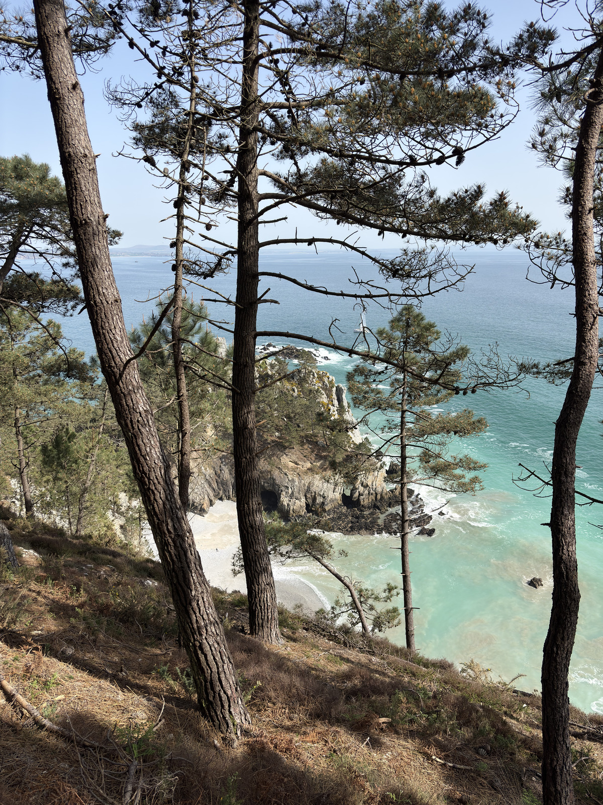 Picture France Crozon Ile Vierge Beach 2026-04 41 - Pictures Ile Vierge Beach