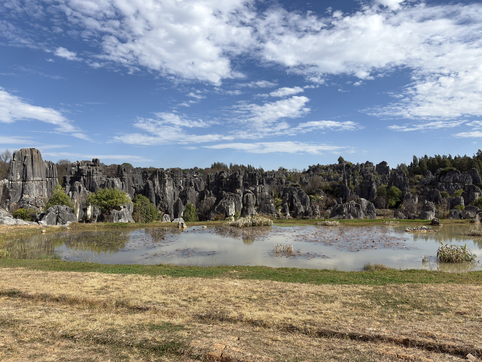 Picture China Shilin Stone Forest 2026-01 150 - Pictures Shilin Stone Forest