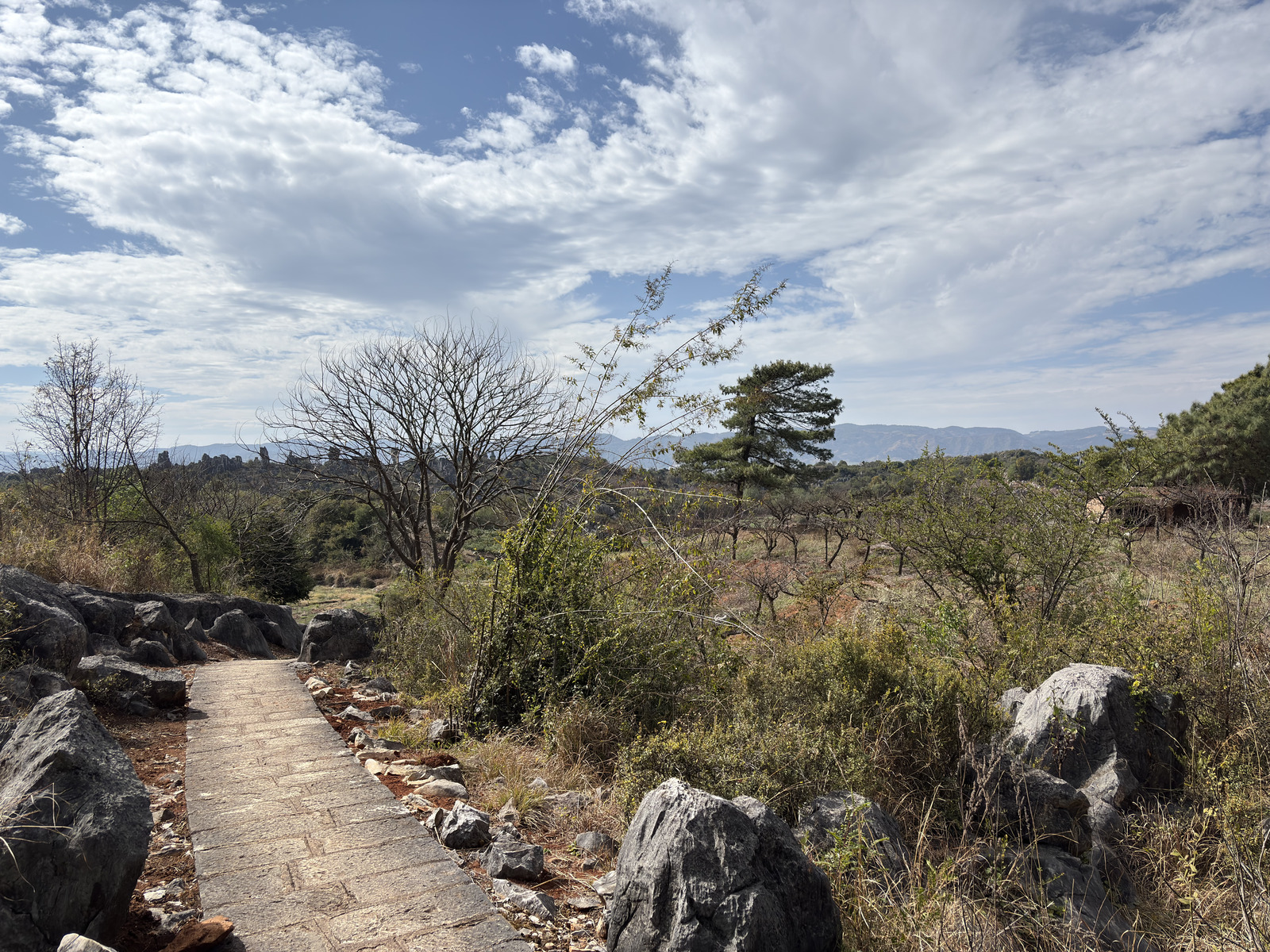 Picture China Shilin Stone Forest 2026-01 140 - Pictures Shilin Stone Forest