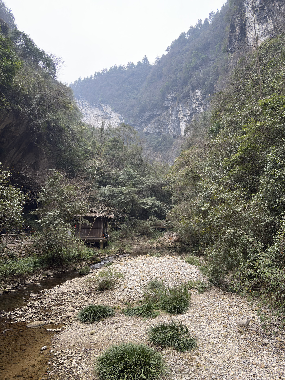 Picture China Zhangjiajie Grand Canion 2026-01 26 - View Grand Canion