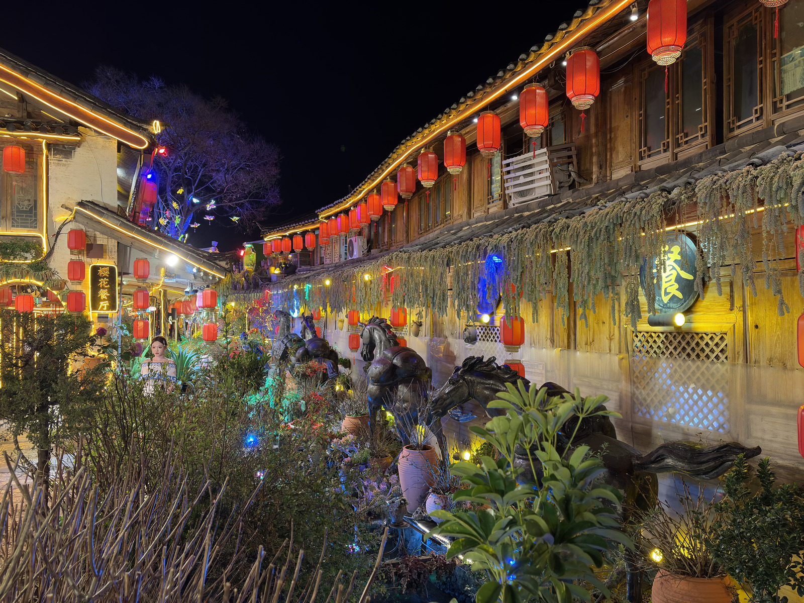 Picture China Lijiang 2026-01 525 - Photographer Lijiang