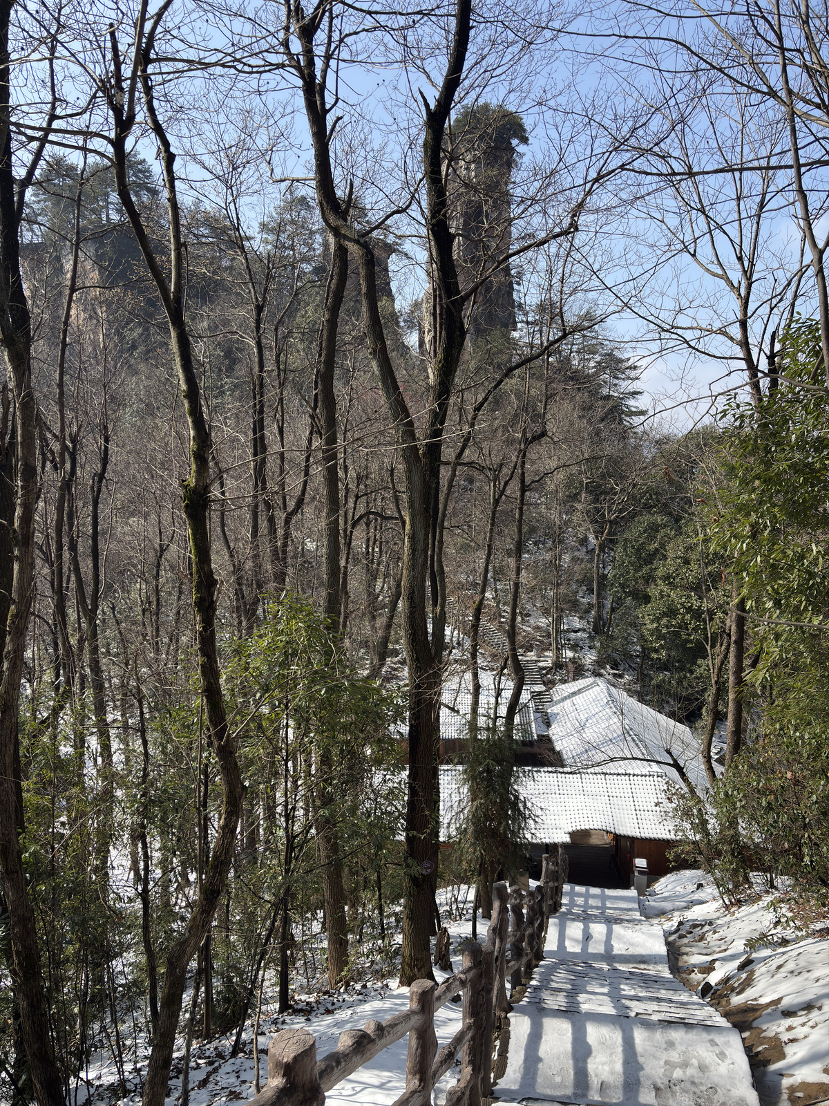 Picture China Zhangjiajie Tianzi Mountrain 2026-01 411 - Trips Tianzi Mountrain