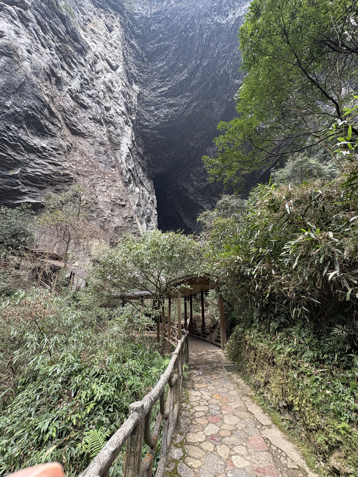 Picture China Zhangjiajie Grand Canion 2026-01 33 - Sightseeing Grand Canion