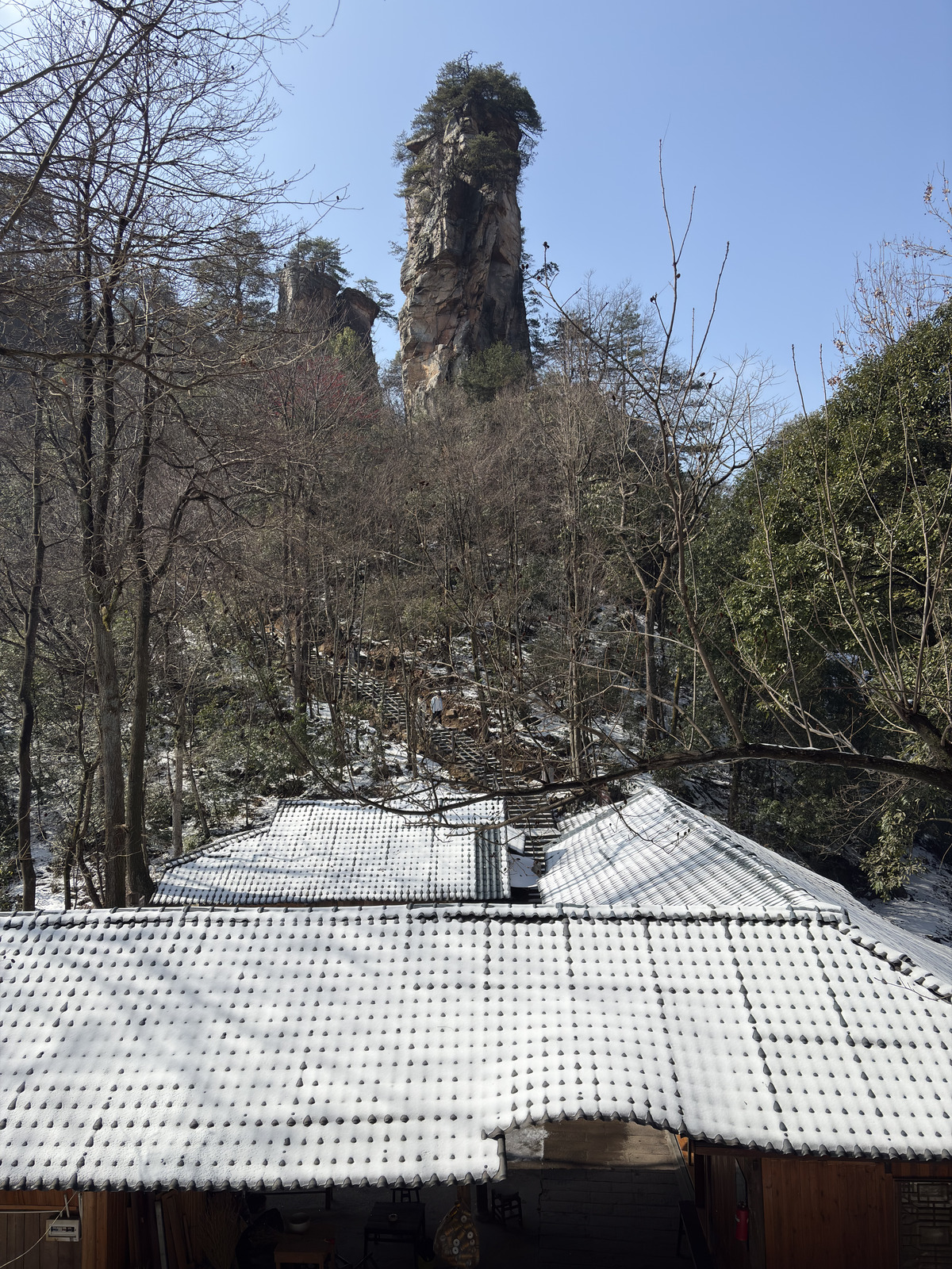 Picture China Zhangjiajie Tianzi Mountrain 2026-01 361 - Picture Tianzi Mountrain