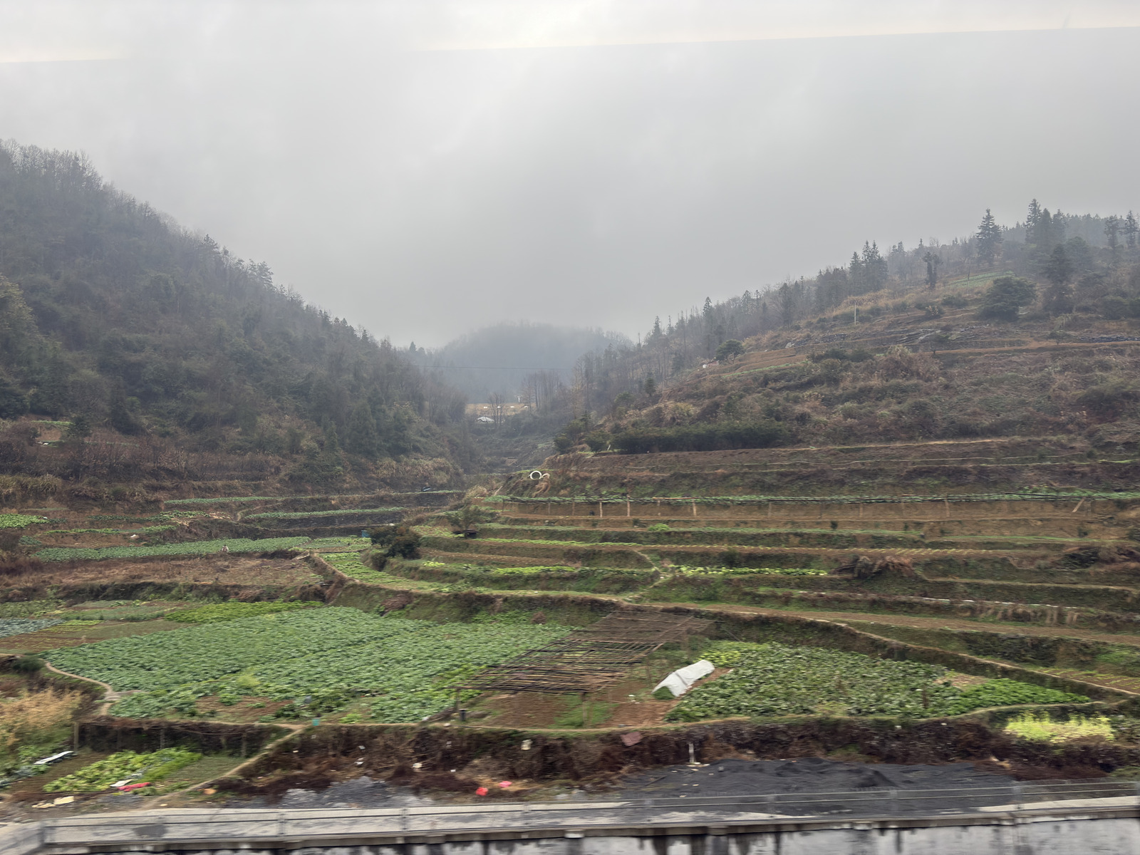 Picture China train 2026-01 3 - Views train