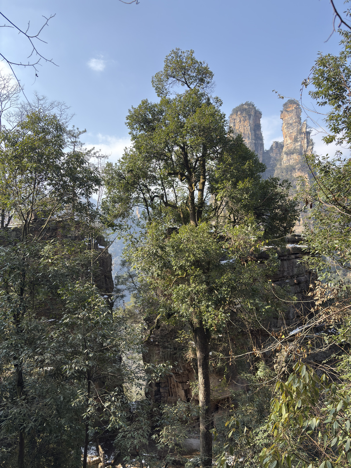 Picture China Zhangjiajie Tianzi Mountrain 2026-01 238 - View Tianzi Mountrain