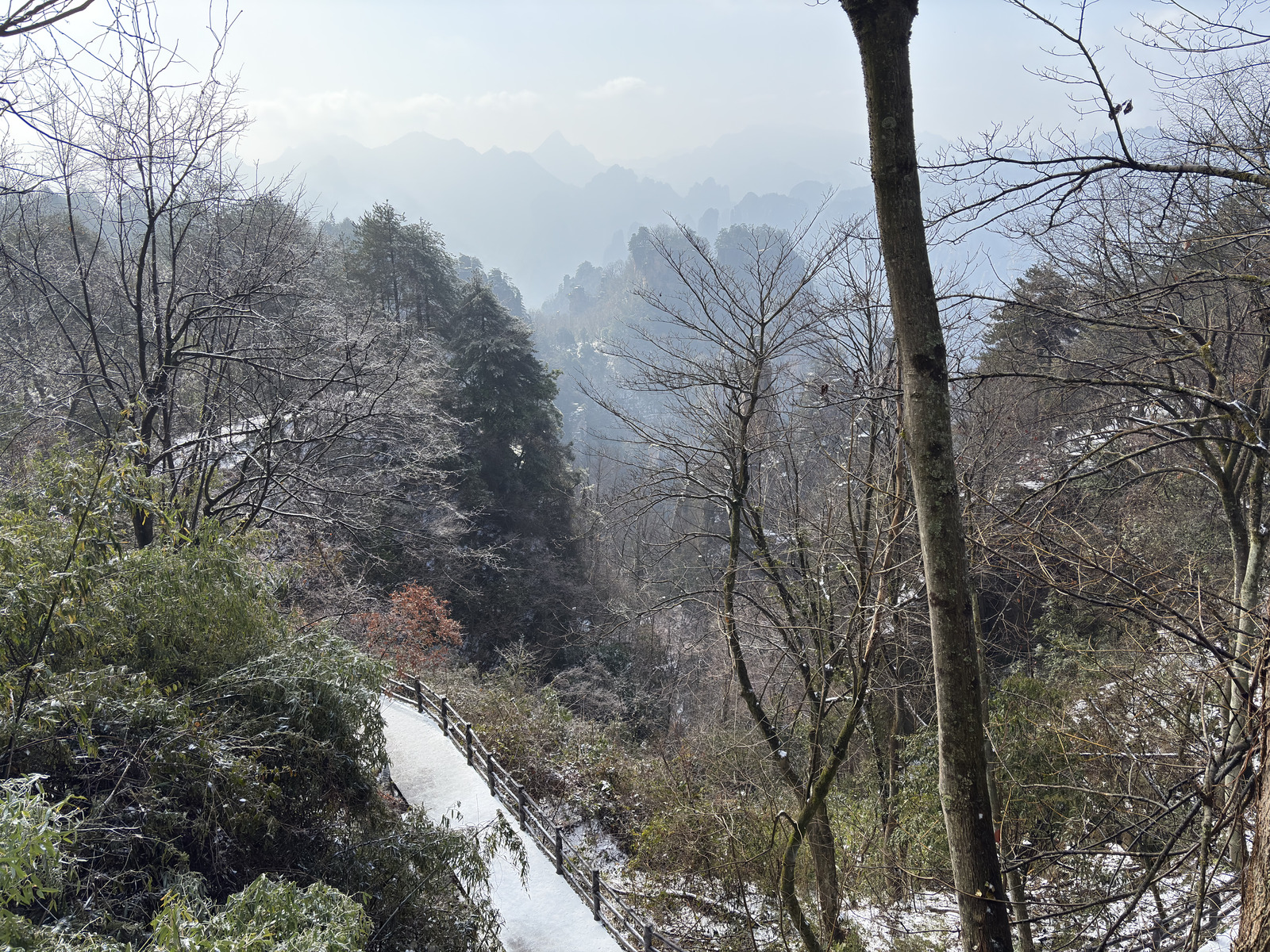 Picture China Zhangjiajie Tianzi Mountrain 2026-01 320 - Photographers Tianzi Mountrain