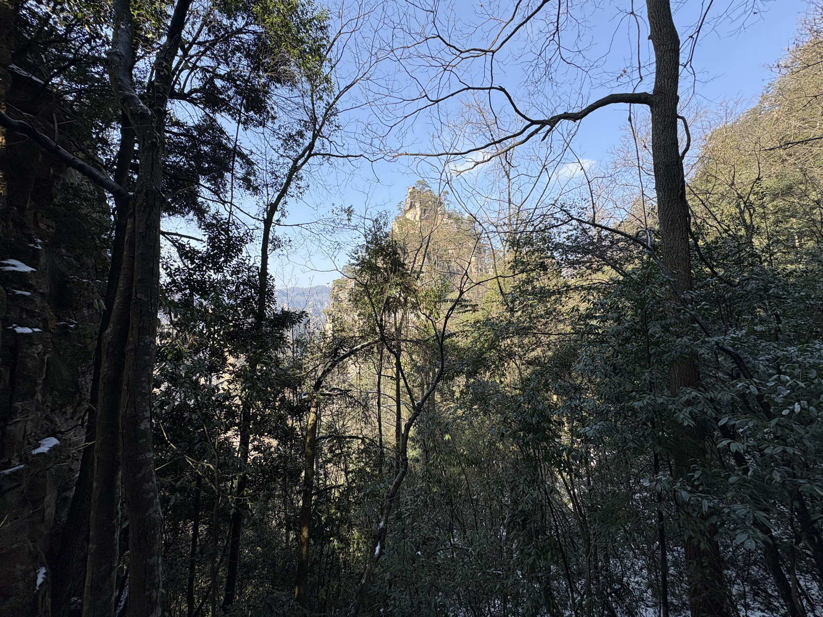 Picture China Zhangjiajie Tianzi Mountrain 2026-01 94 - Pictures Tianzi Mountrain