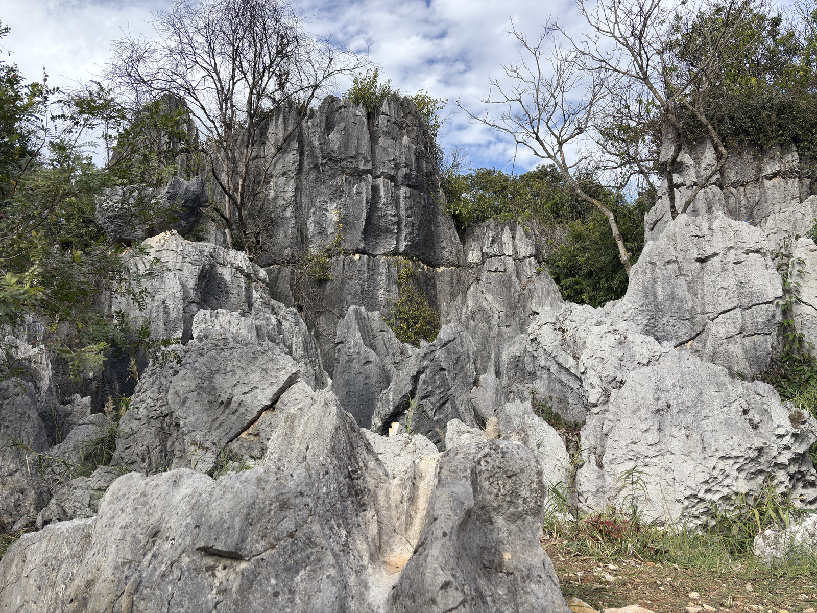 Picture China Shilin Stone Forest 2026-01 111 - View Shilin Stone Forest