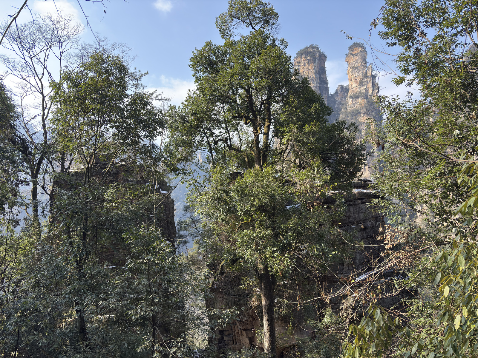 Picture China Zhangjiajie Tianzi Mountrain 2026-01 120 - Perspective Tianzi Mountrain